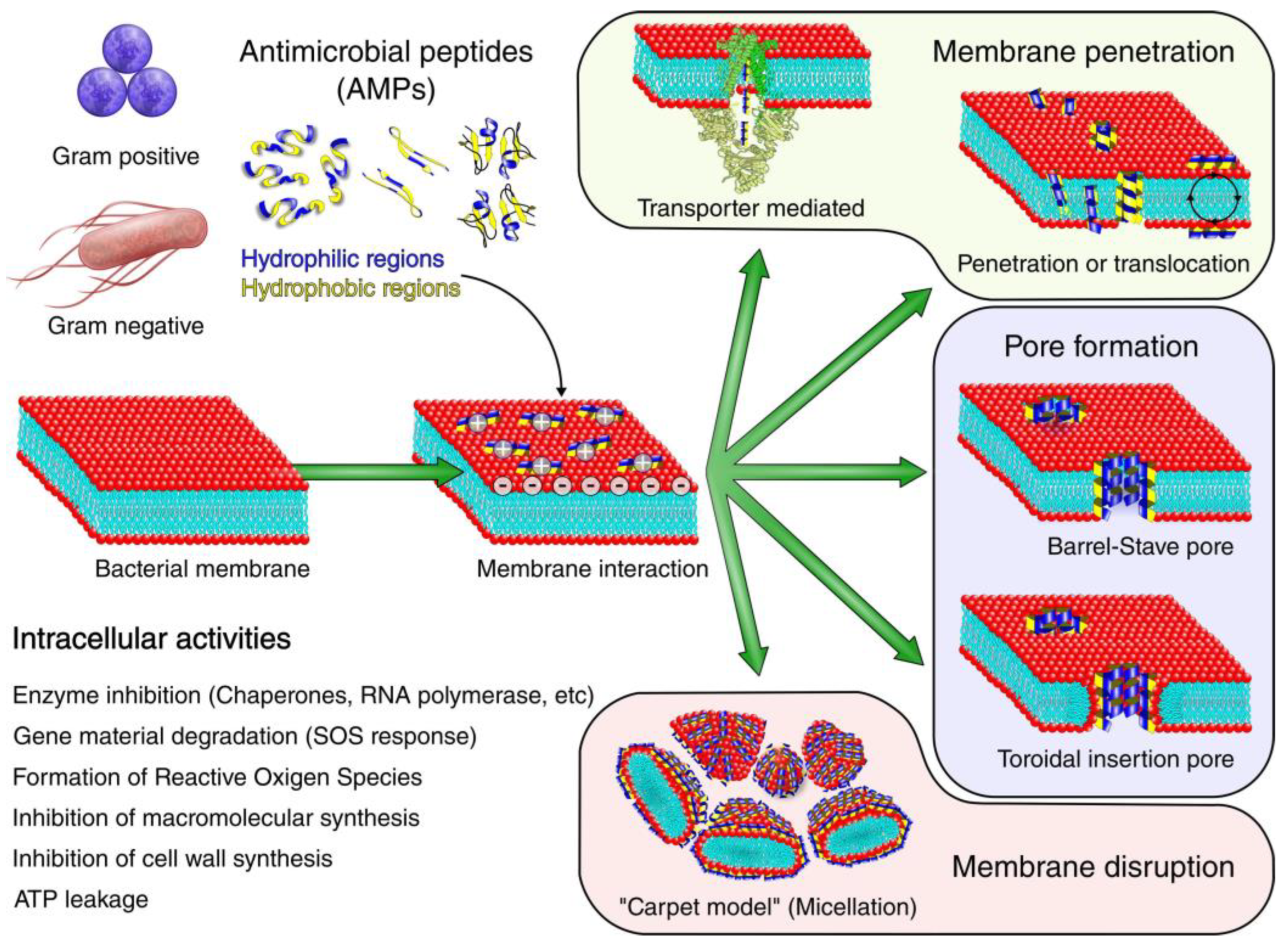 Coatings 12 01921 g005