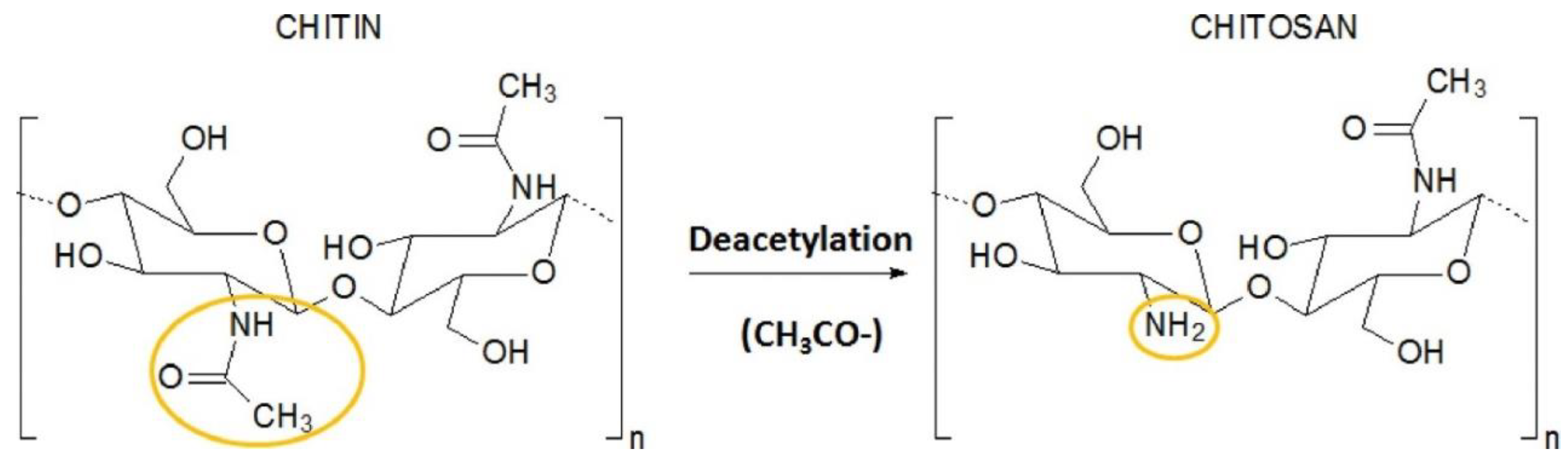 Coatings 12 01921 g006