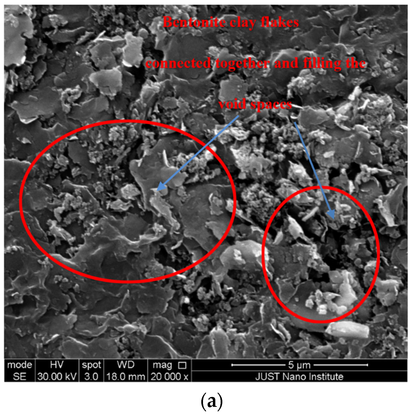 Coatings 12 01922 g005a Coatings 12 01922 g005a