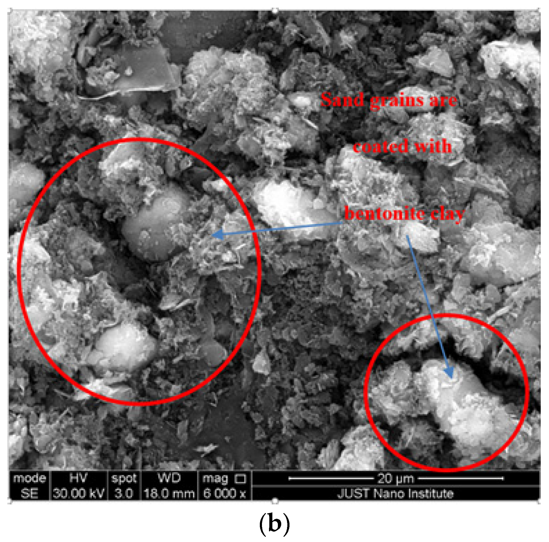 Coatings 12 01922 g005b Coatings 12 01922 g005b