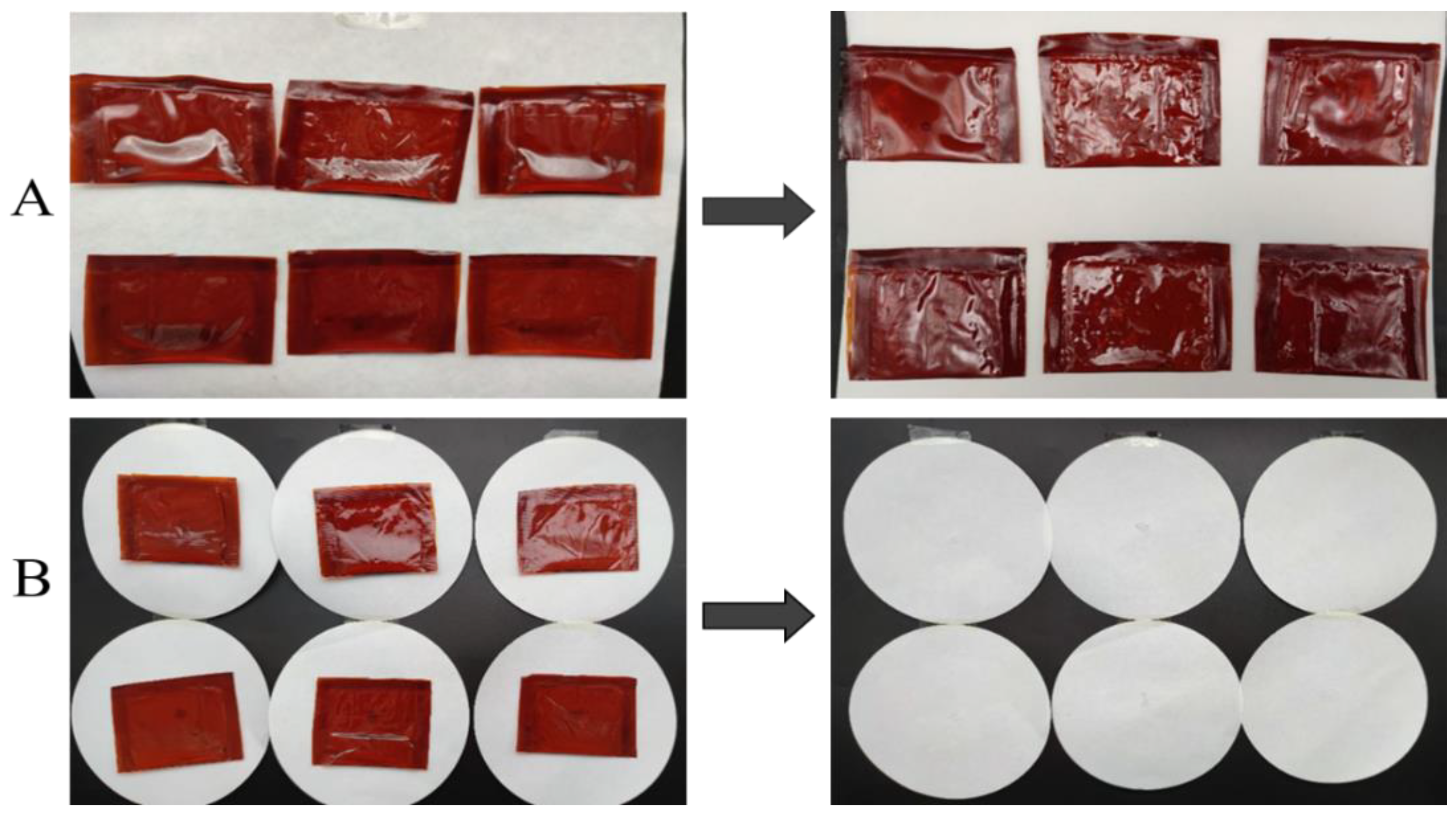 Coatings 12 01929 g007