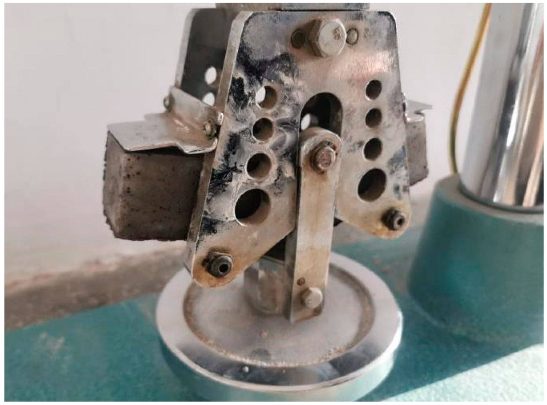 Coatings 12 01930 g002