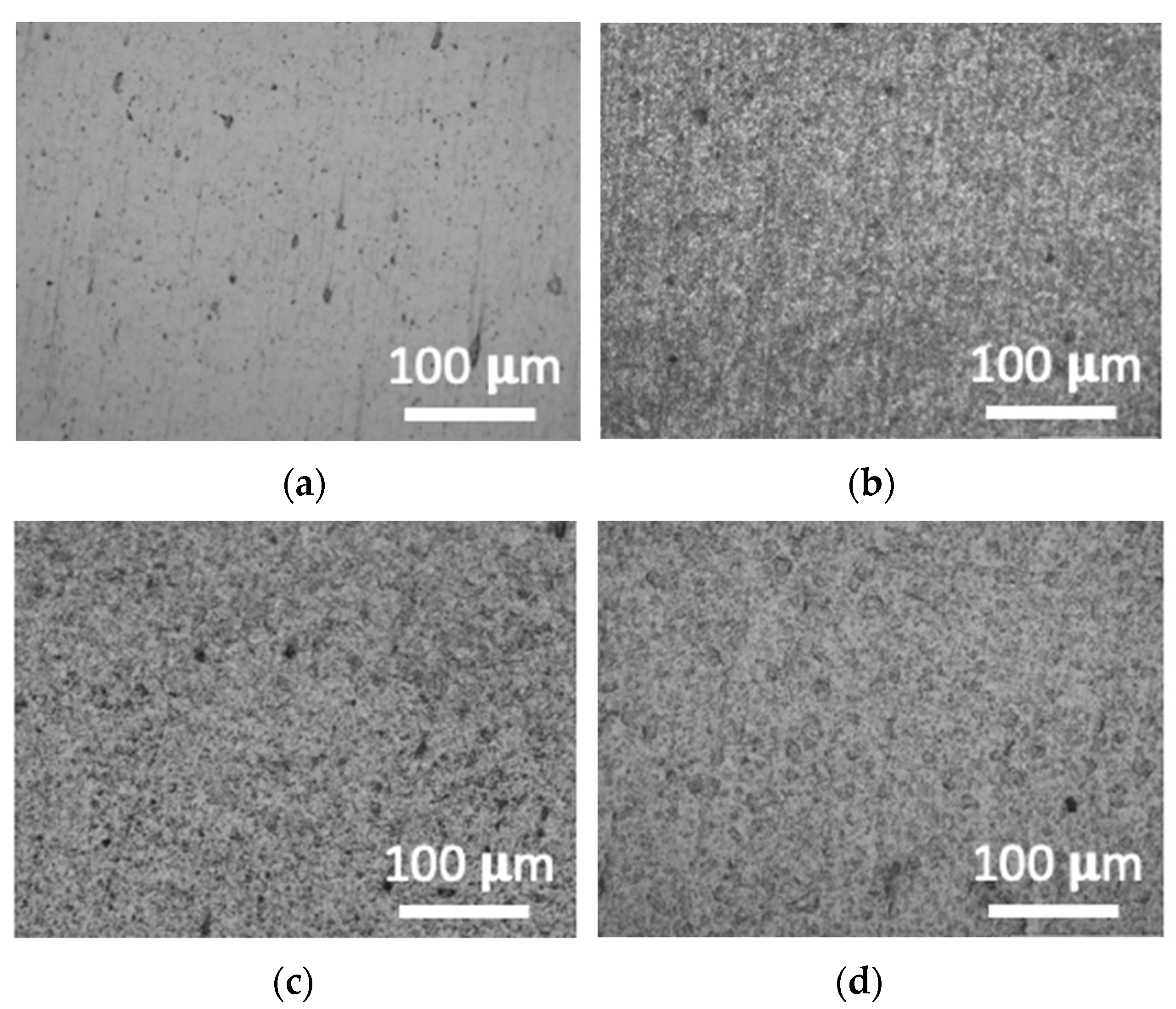 Coatings 12 01932 g002