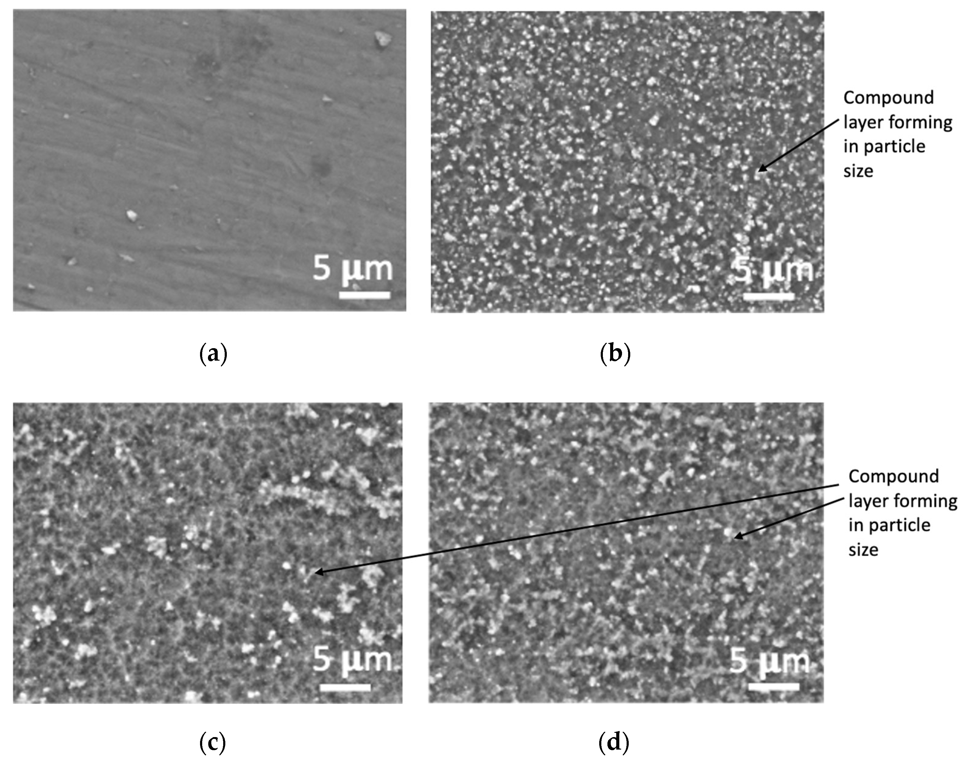 Coatings 12 01932 g003