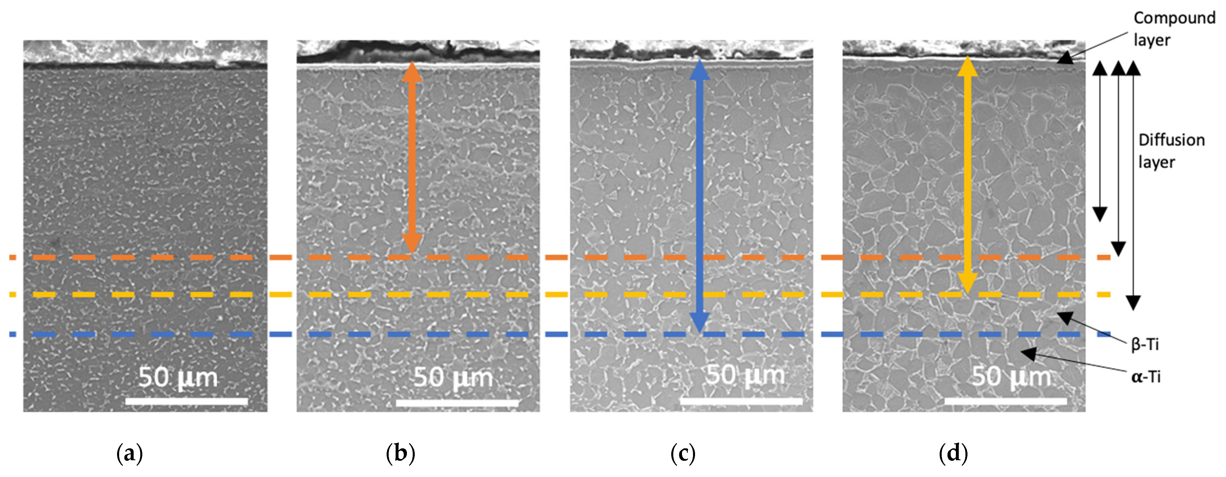 Coatings 12 01932 g006