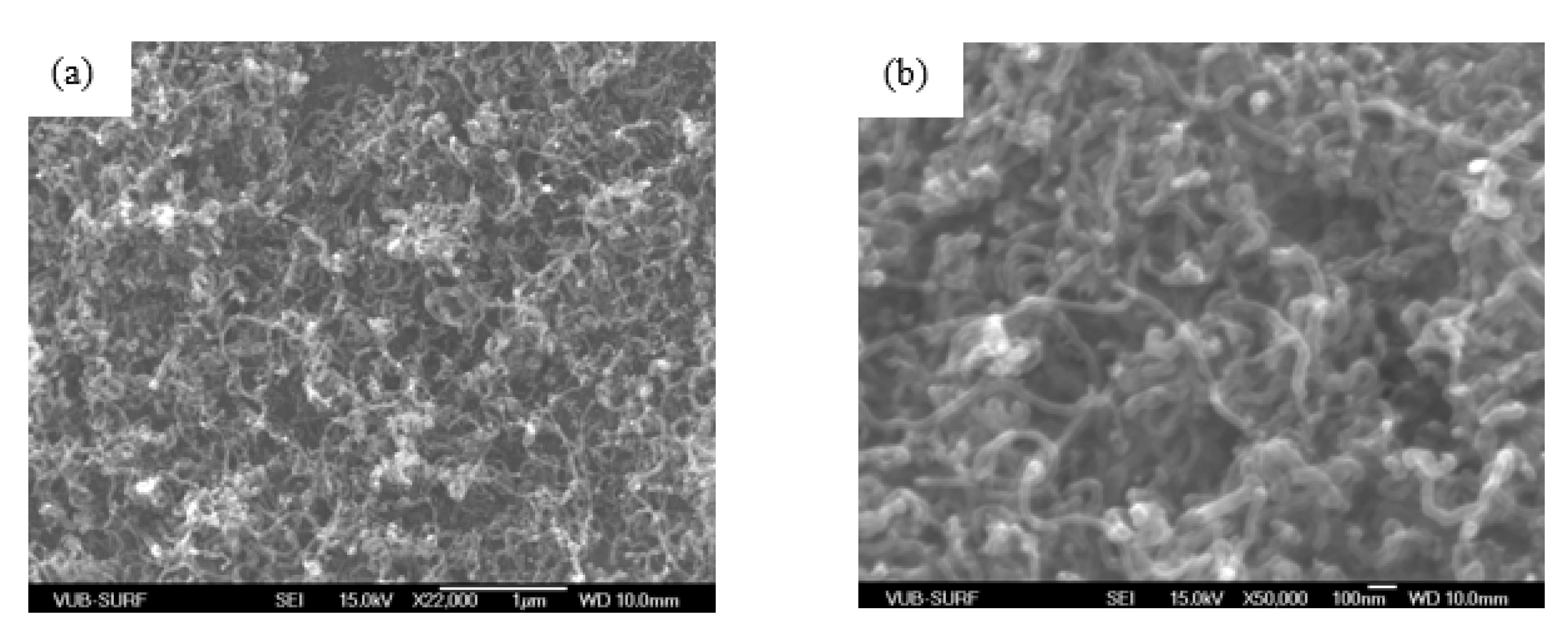 Coatings 12 01933 g001 Coatings 12 01933 g001