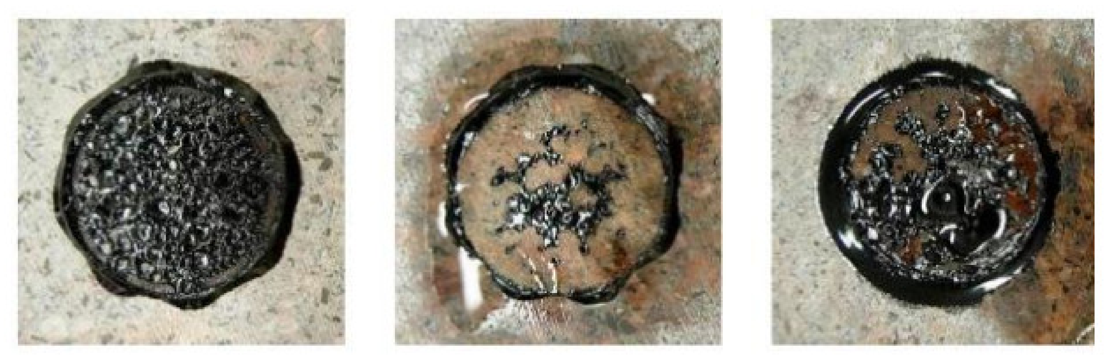 Coatings 12 01934 g004