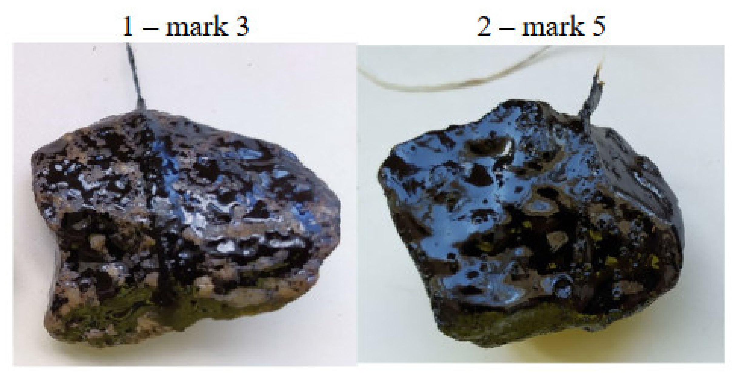 Coatings 12 01934 g006