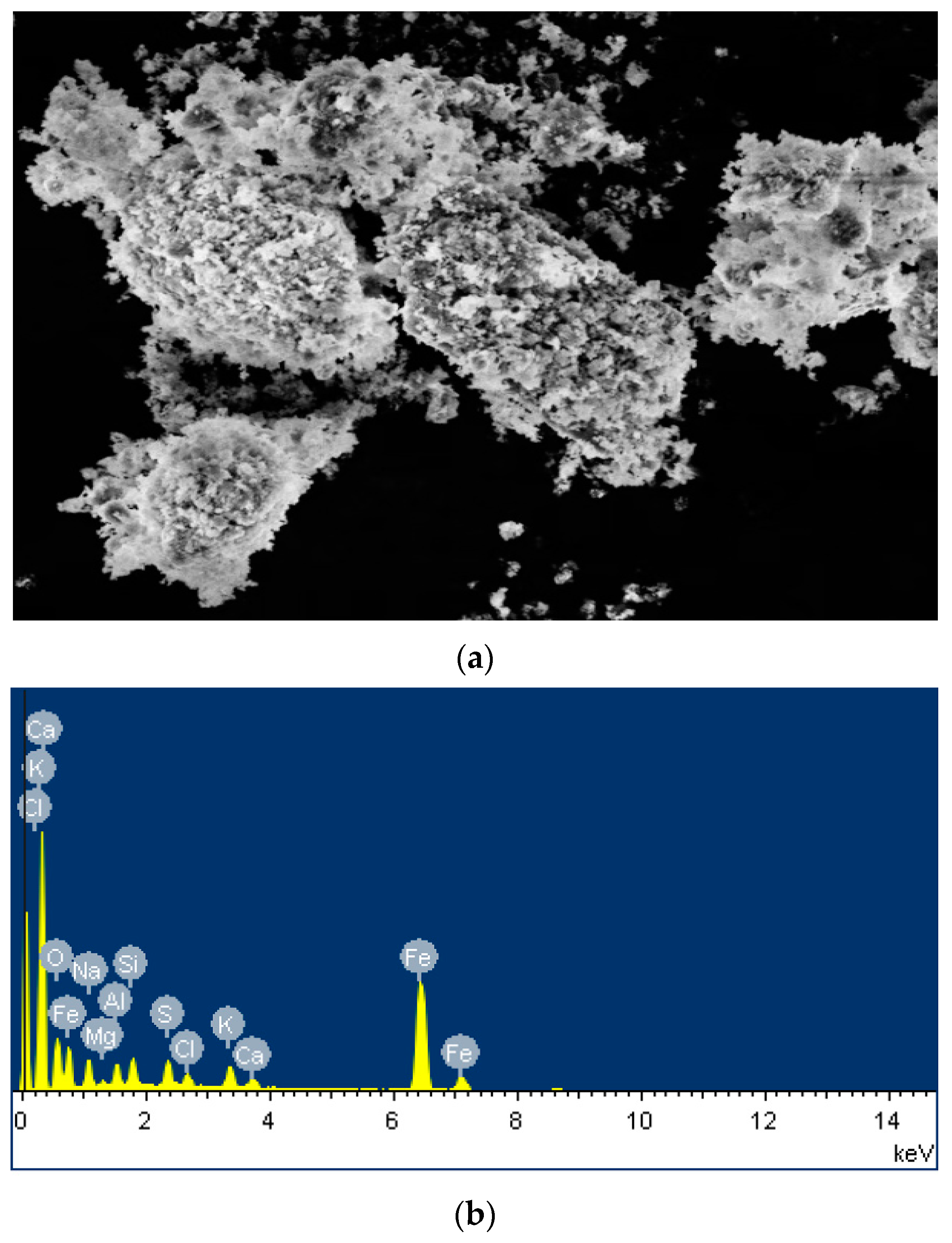 Coatings 12 01937 g004 Coatings 12 01937 g004