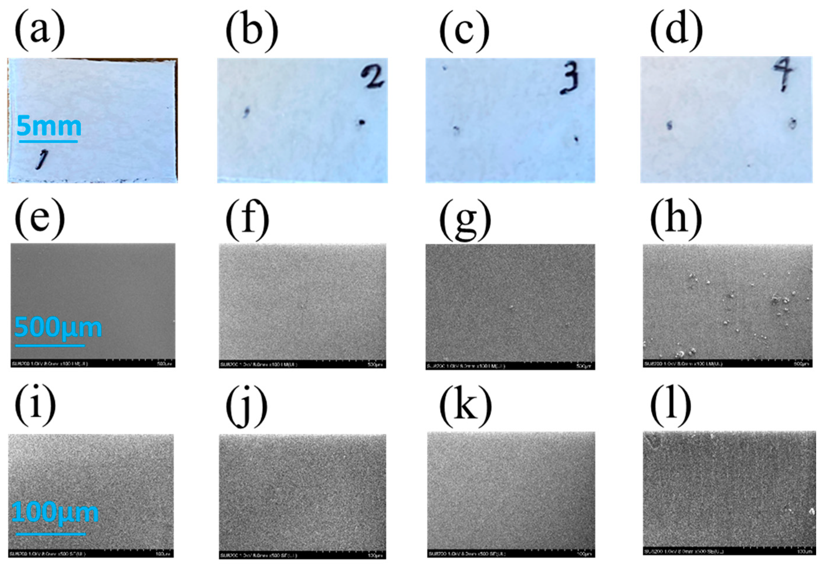 Coatings 12 01938 g004a Coatings 12 01938 g004a