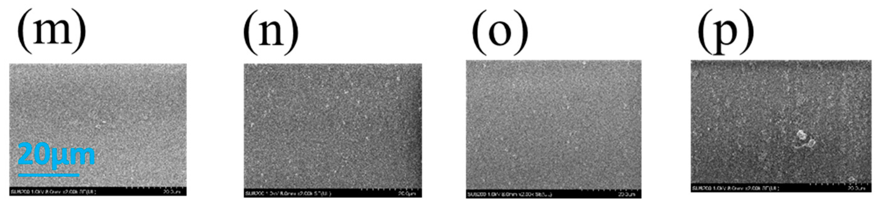 Coatings 12 01938 g004b Coatings 12 01938 g004b
