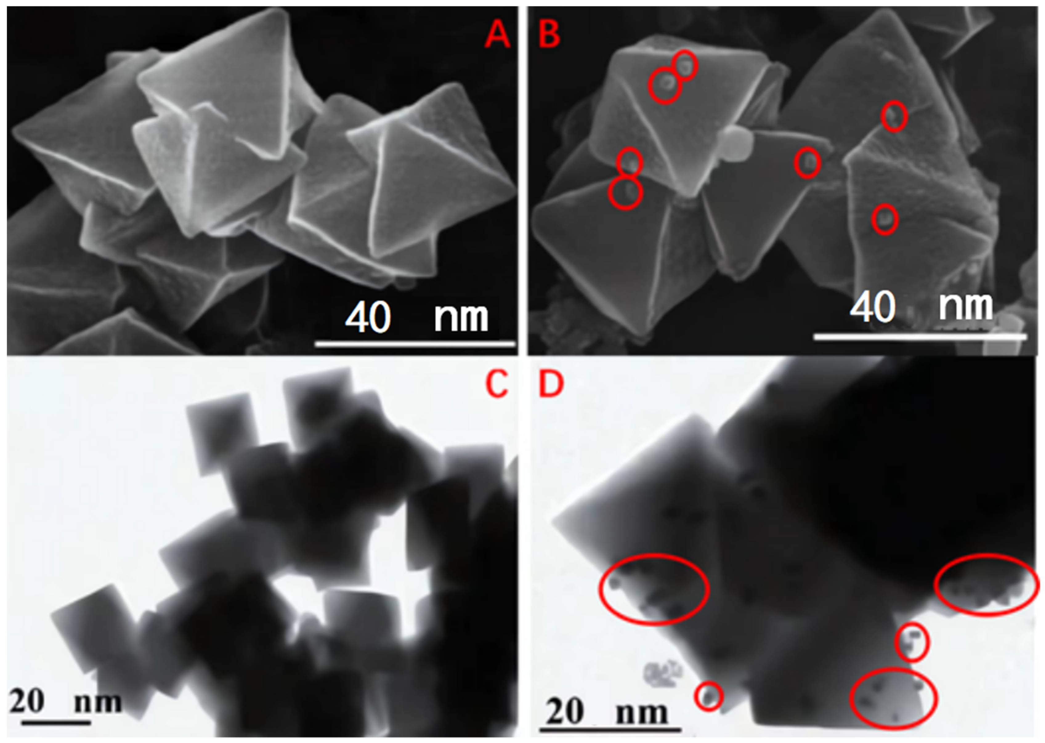 Coatings 12 01939 g002a Coatings 12 01939 g002a