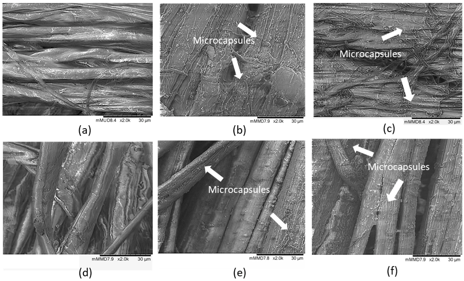 Coatings 12 01958 g002 Coatings 12 01958 g002
