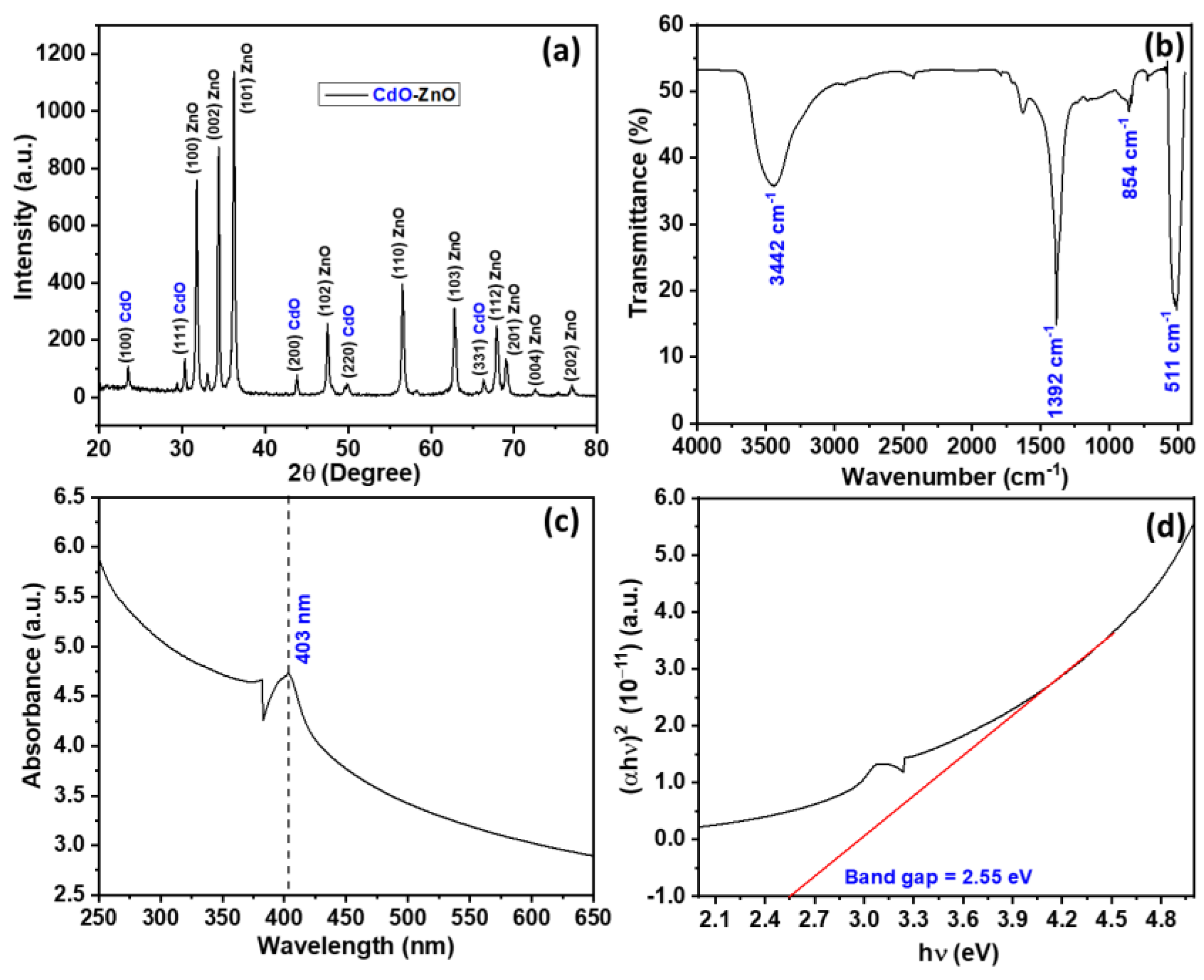 Coatings 12 01959 g002