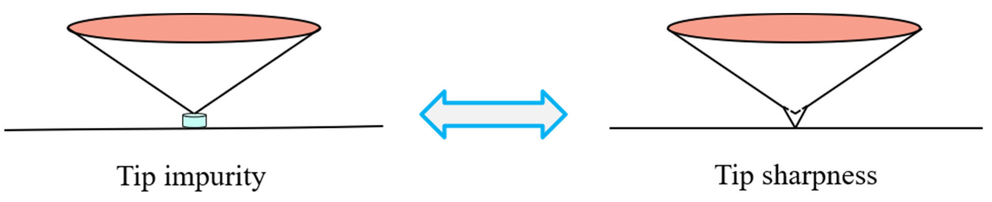 Coatings 12 01962 g014