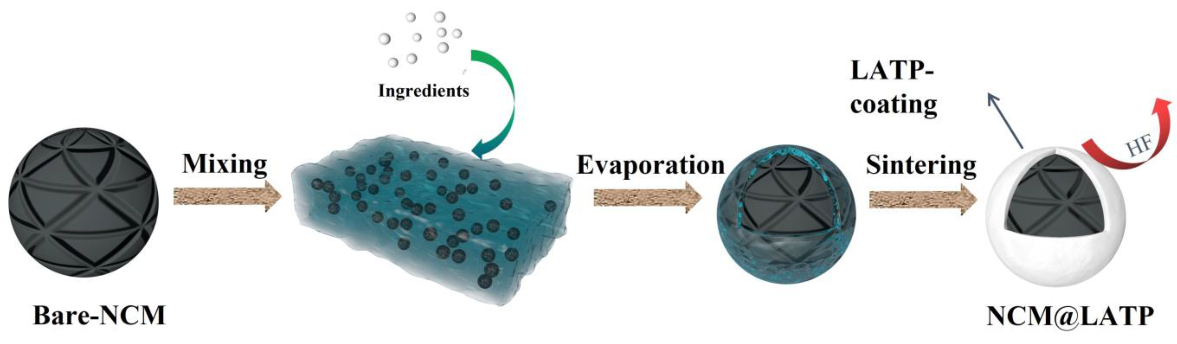 Coatings 12 01964 g001