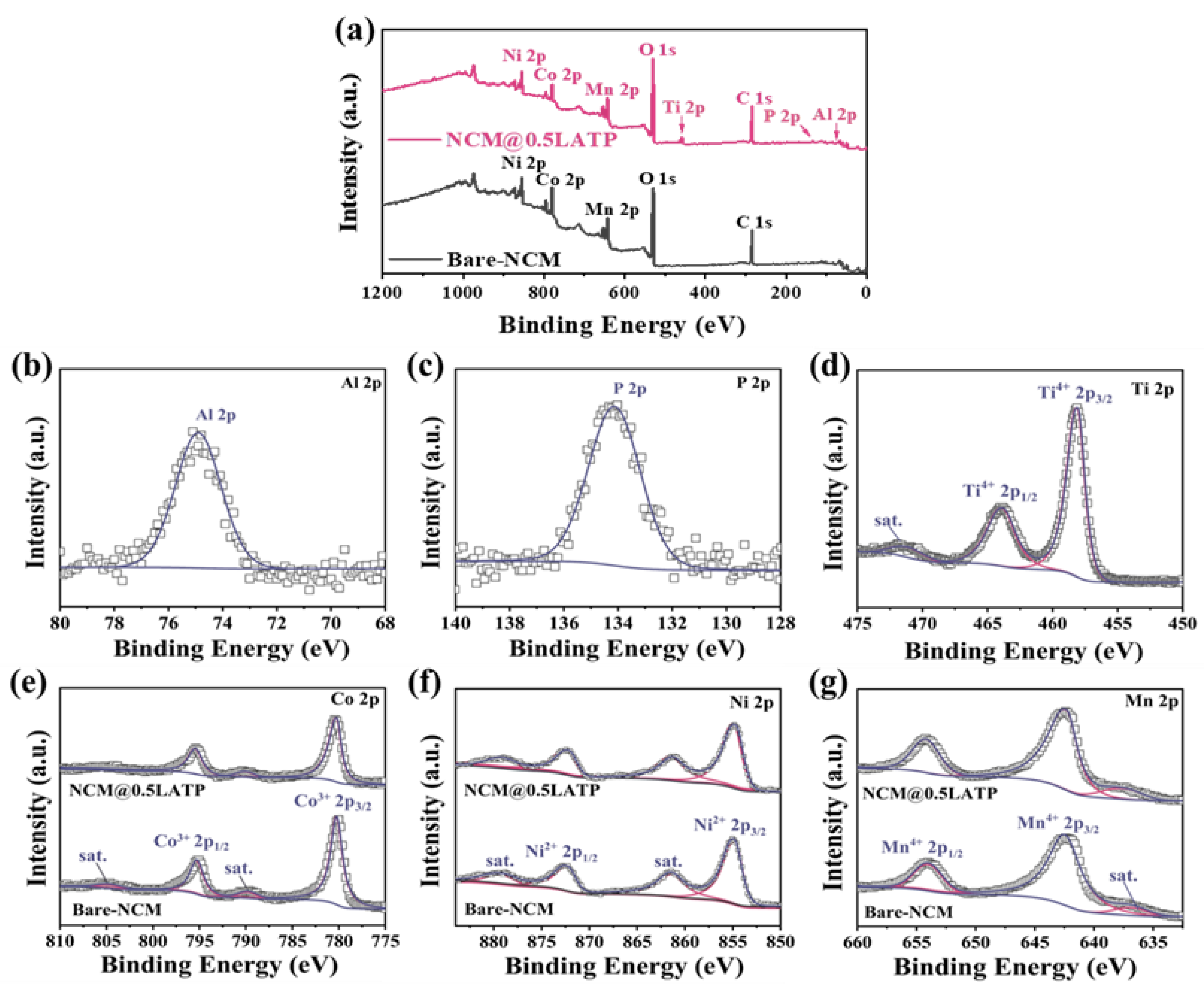 Coatings 12 01964 g005