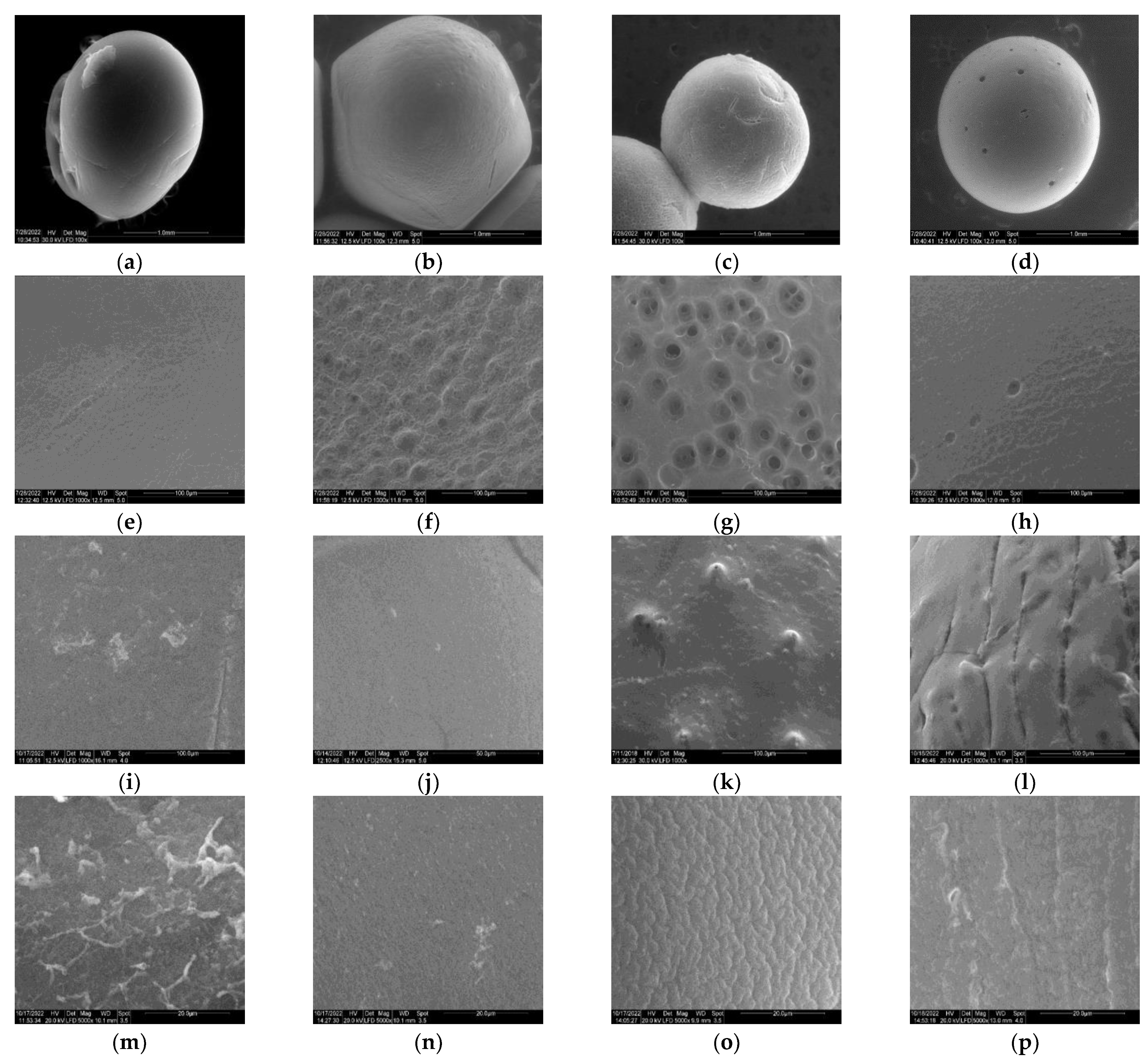 Coatings 12 01965 g001