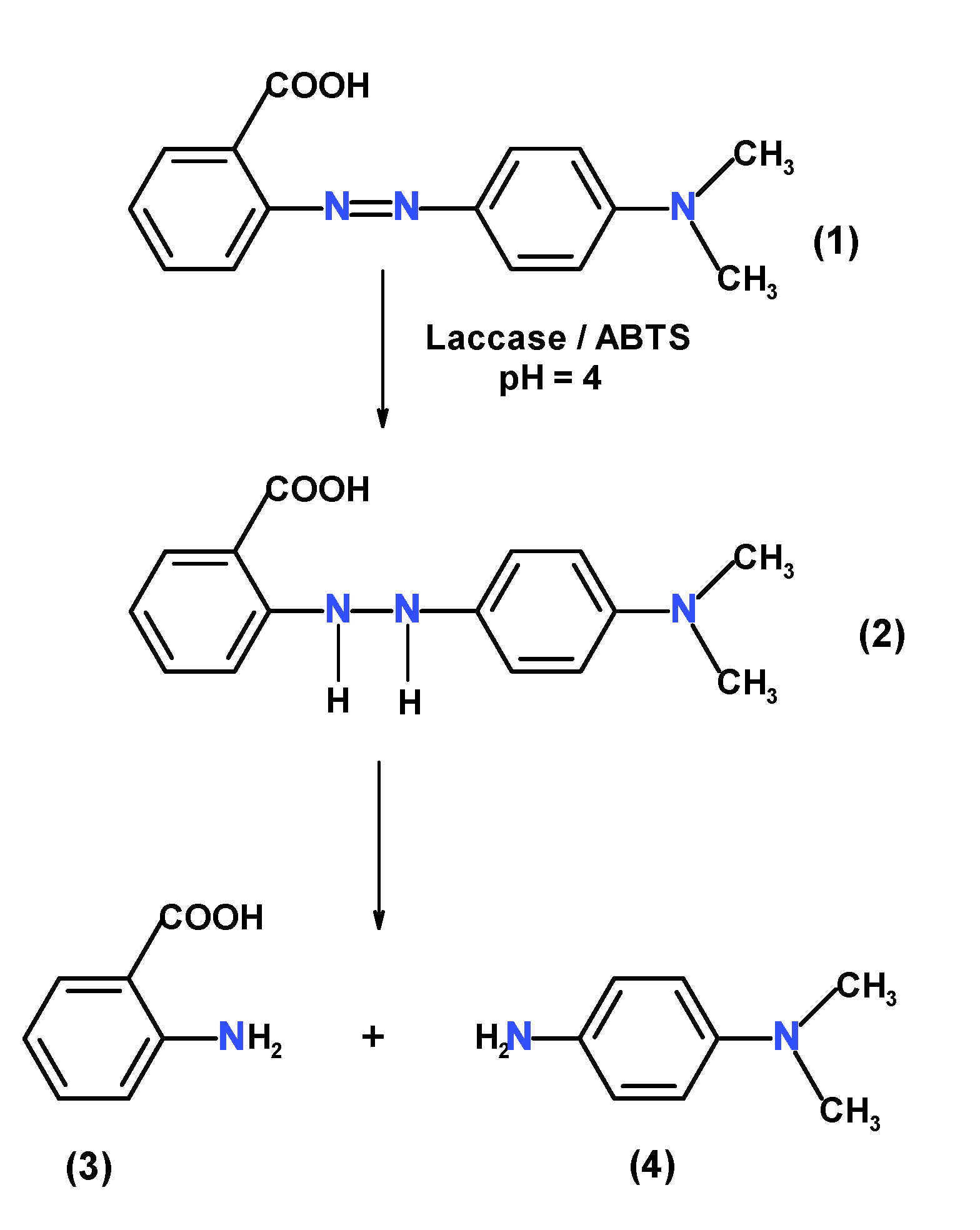 Coatings 12 01965 sch001