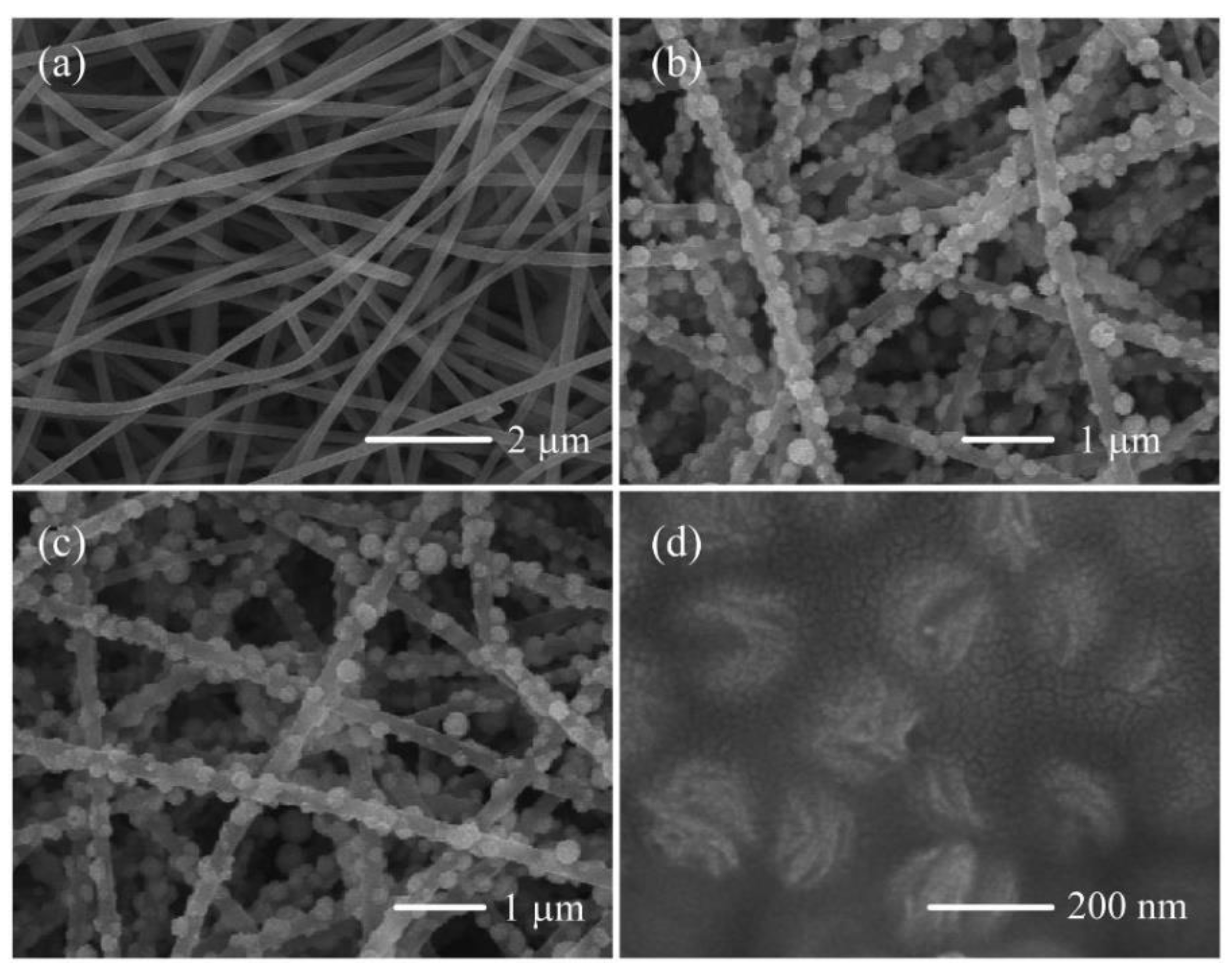 Coatings 12 01969 g003