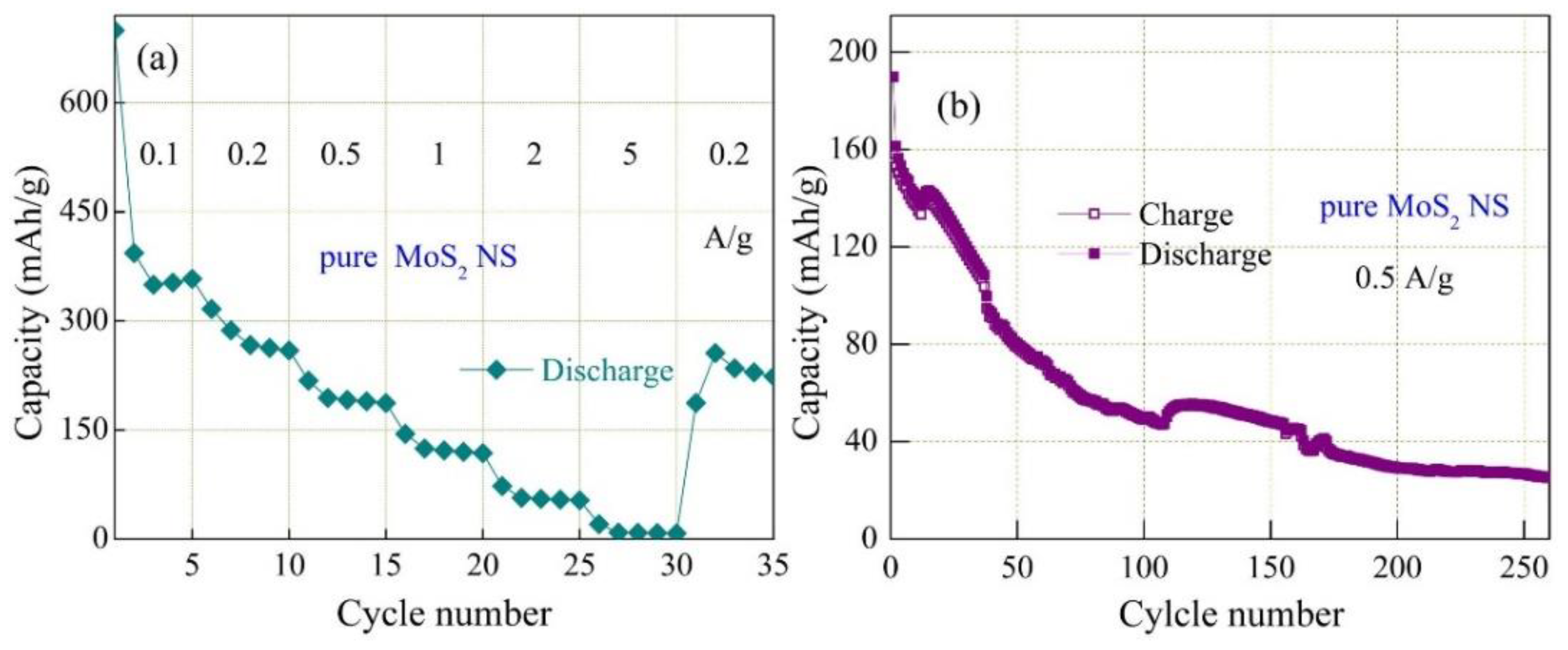 Coatings 12 01969 g004