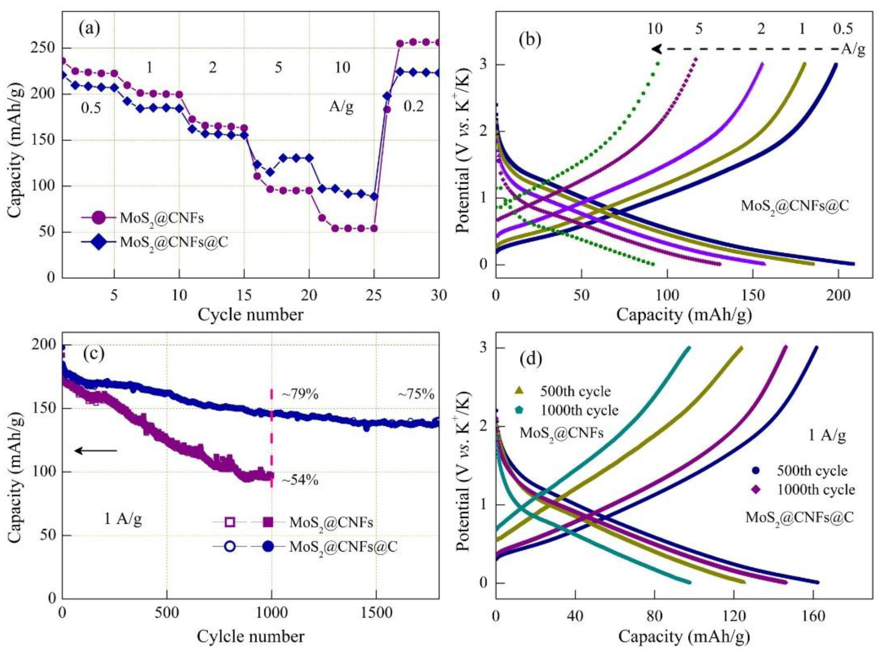 Coatings 12 01969 g005