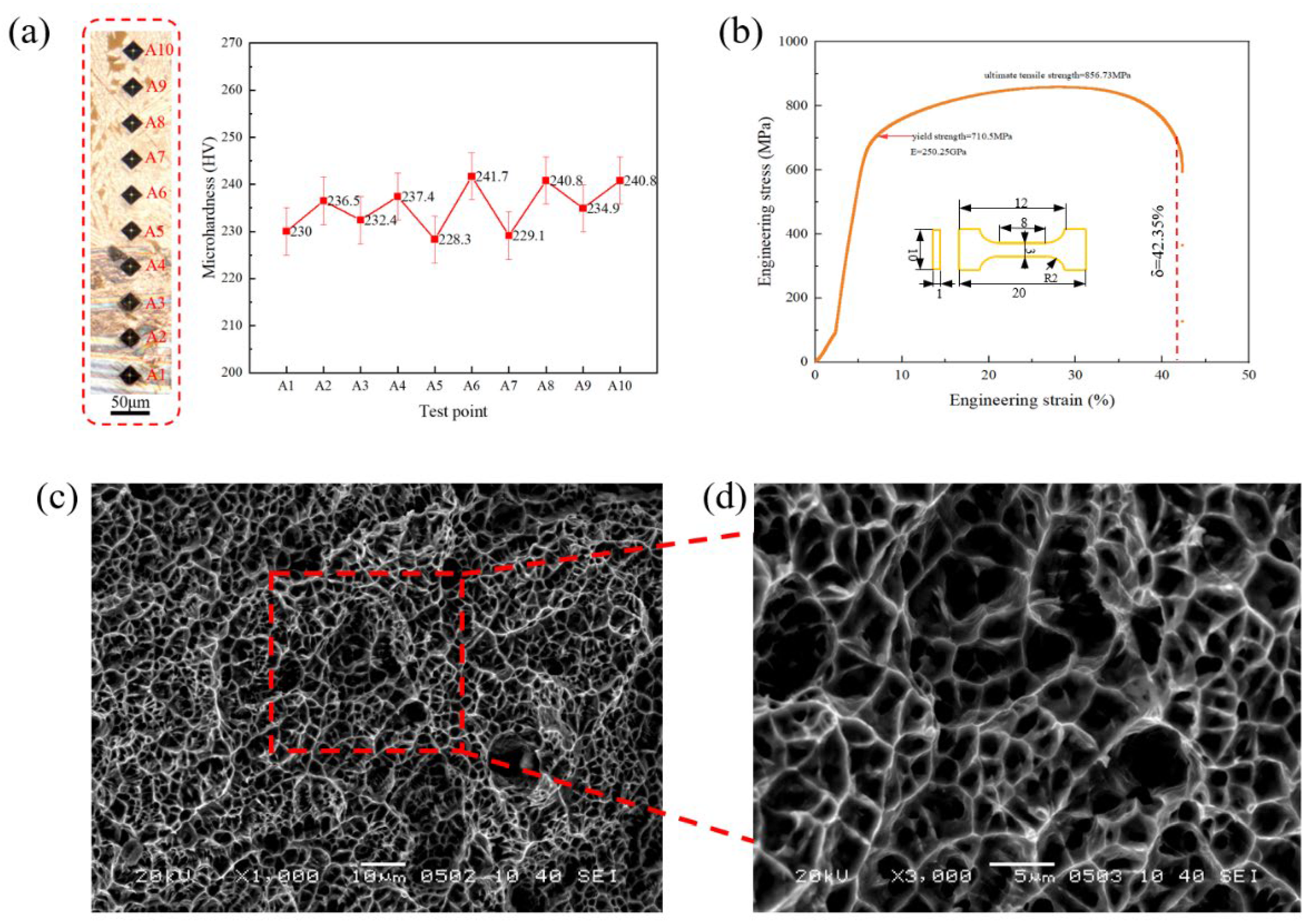 Coatings 12 01971 g006
