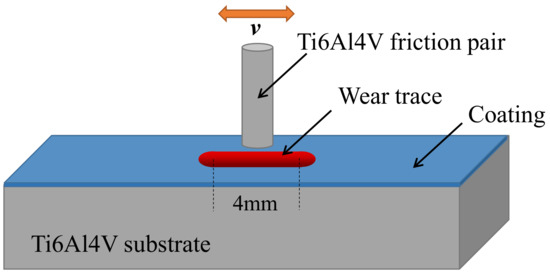 Study of the Tribological Properties of HVOF-Sprayed Ni