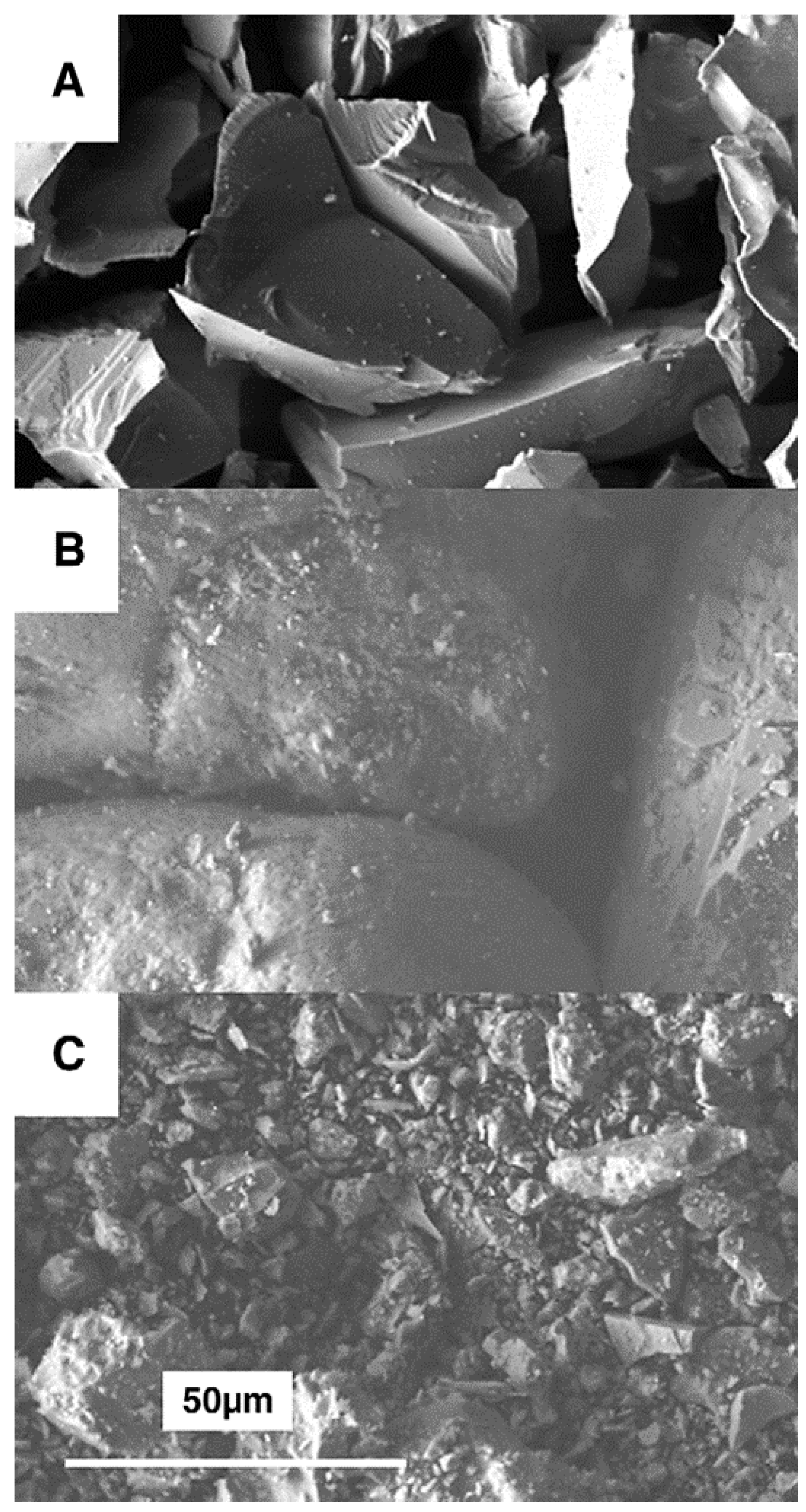 Coatings 12 01979 g002