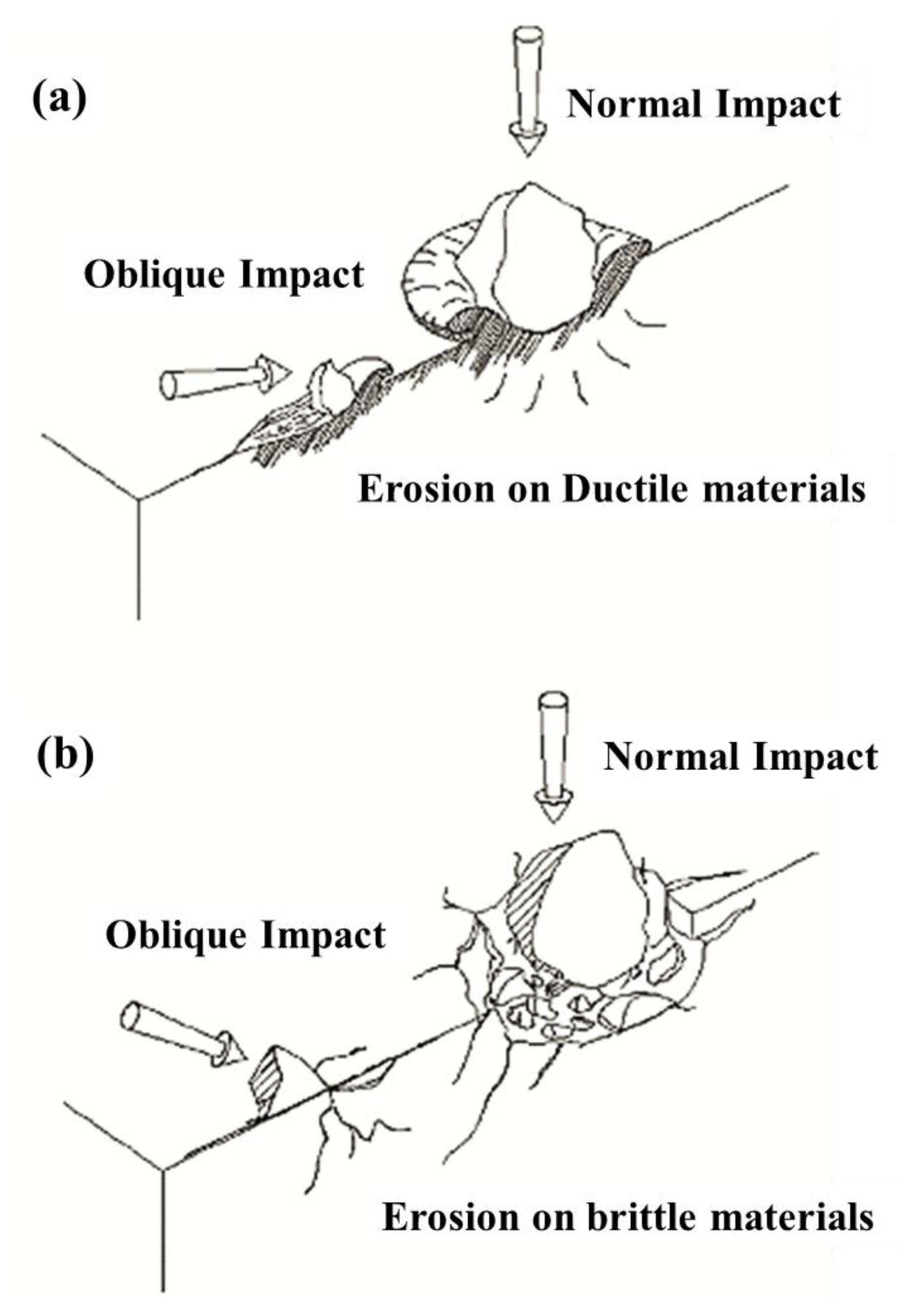 Coatings 12 01979 g004