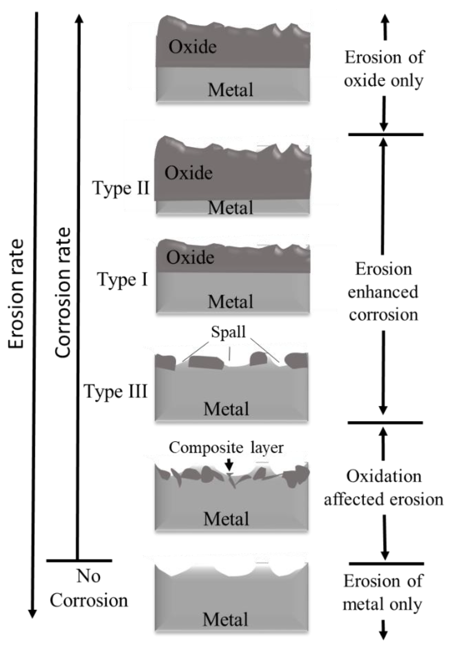 Coatings 12 01979 g008