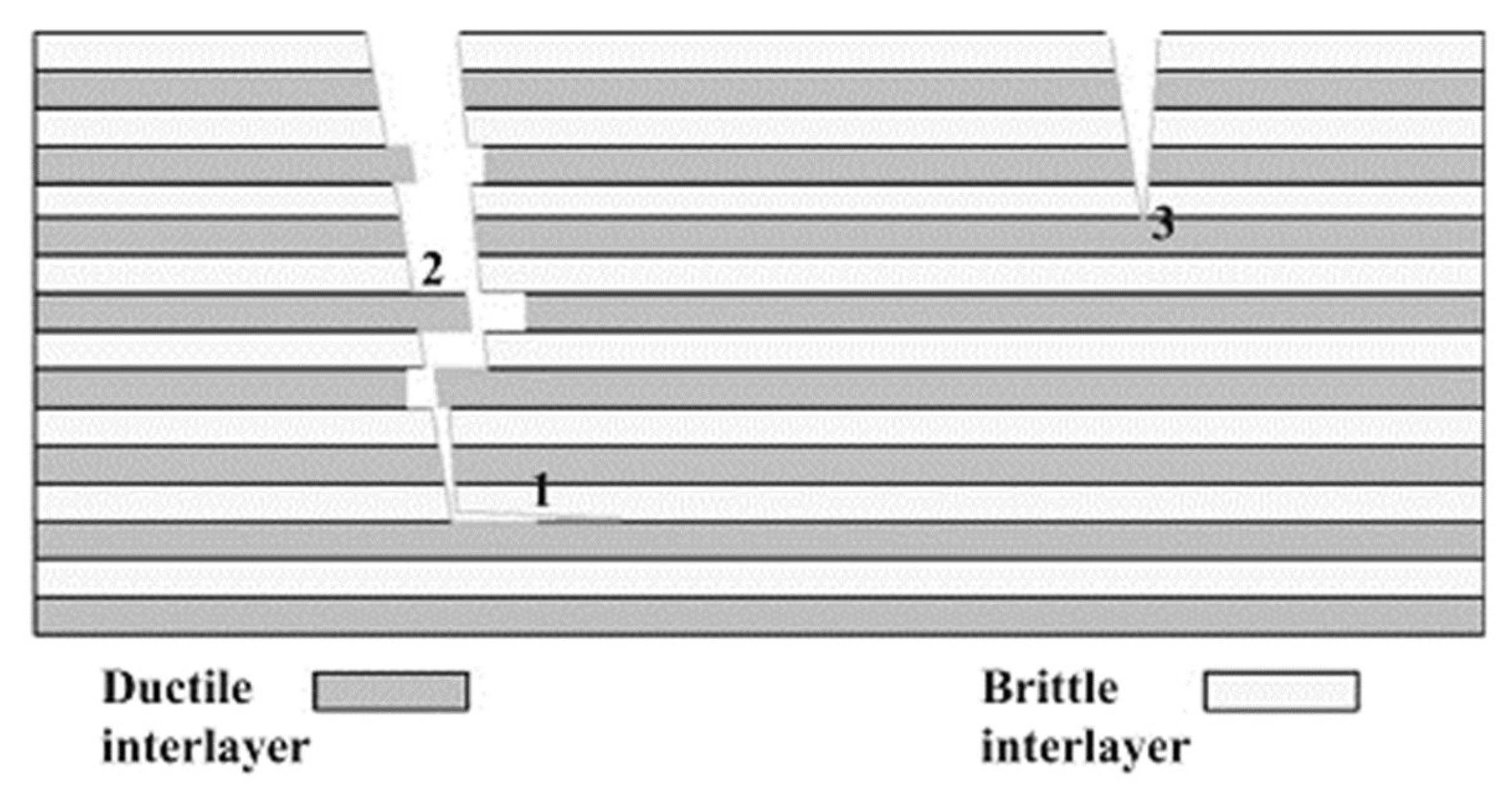 Coatings 12 01979 g013