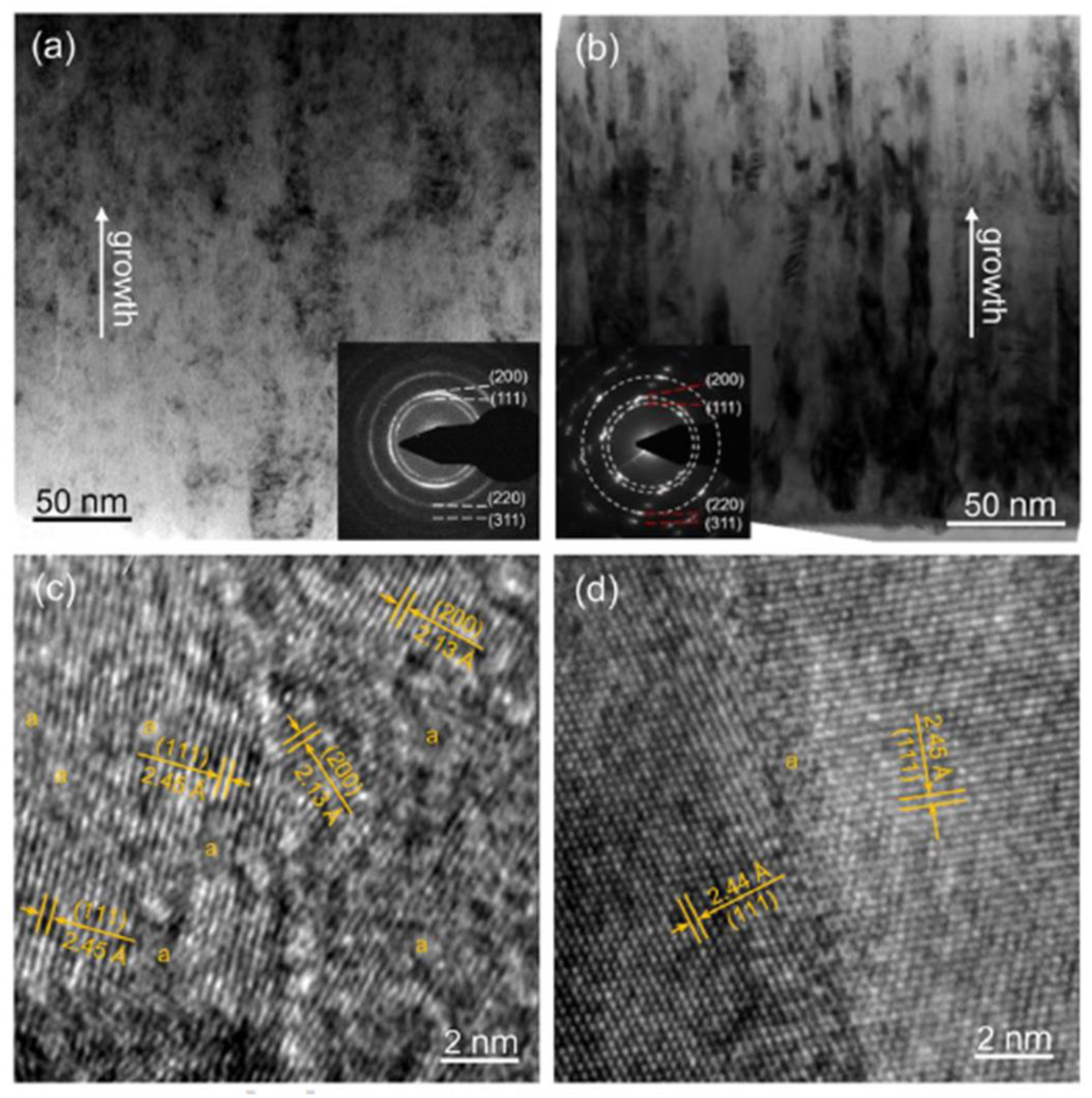 Coatings 12 01979 g016