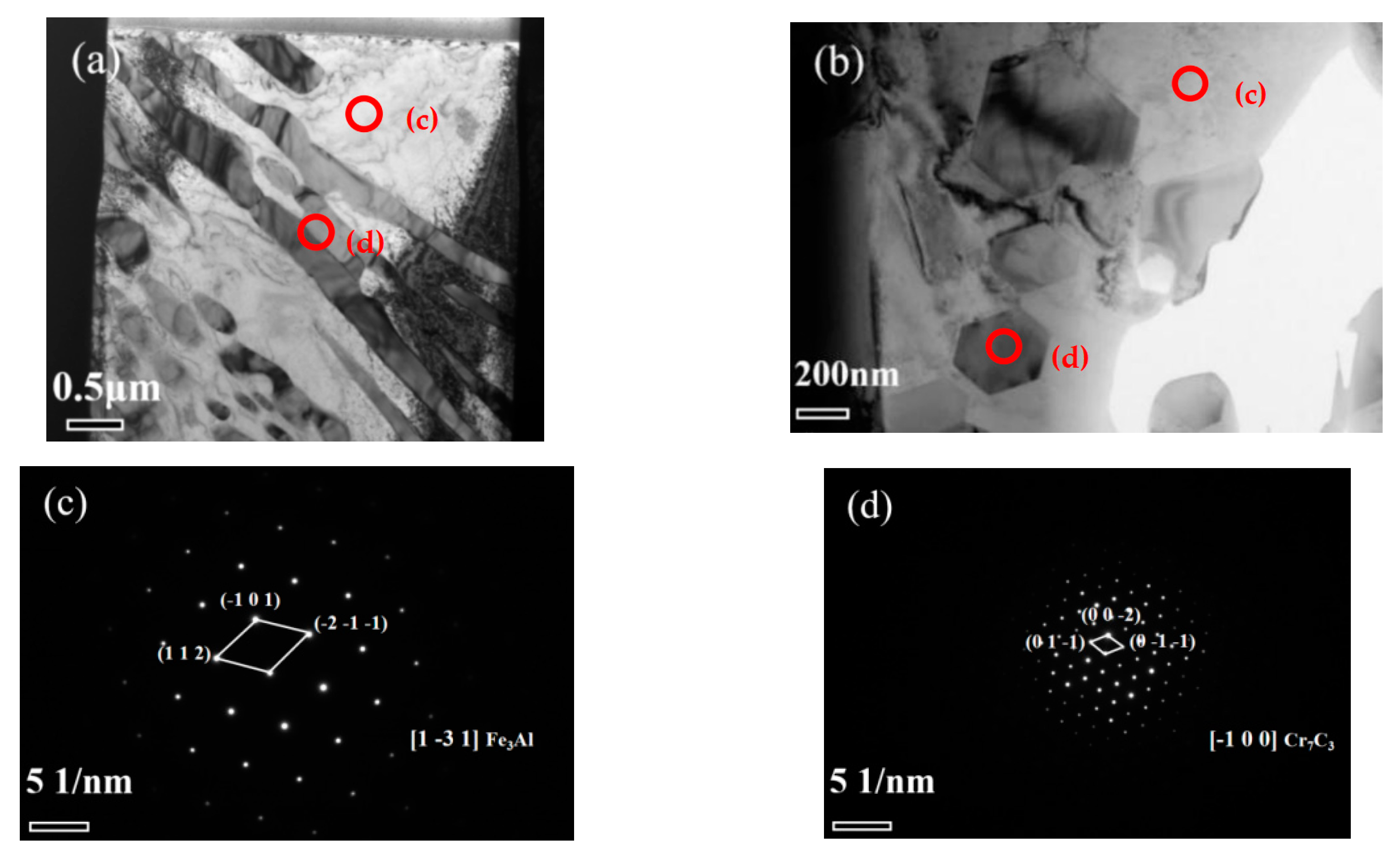 Coatings 12 01980 g004