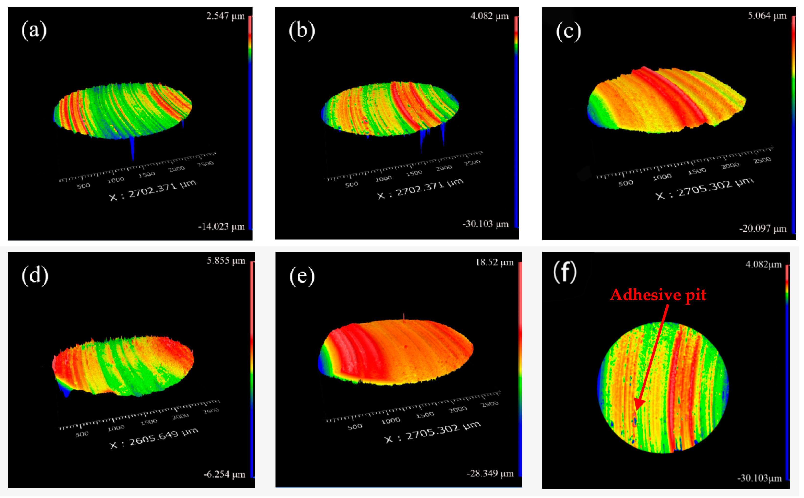 Coatings 12 01980 g008