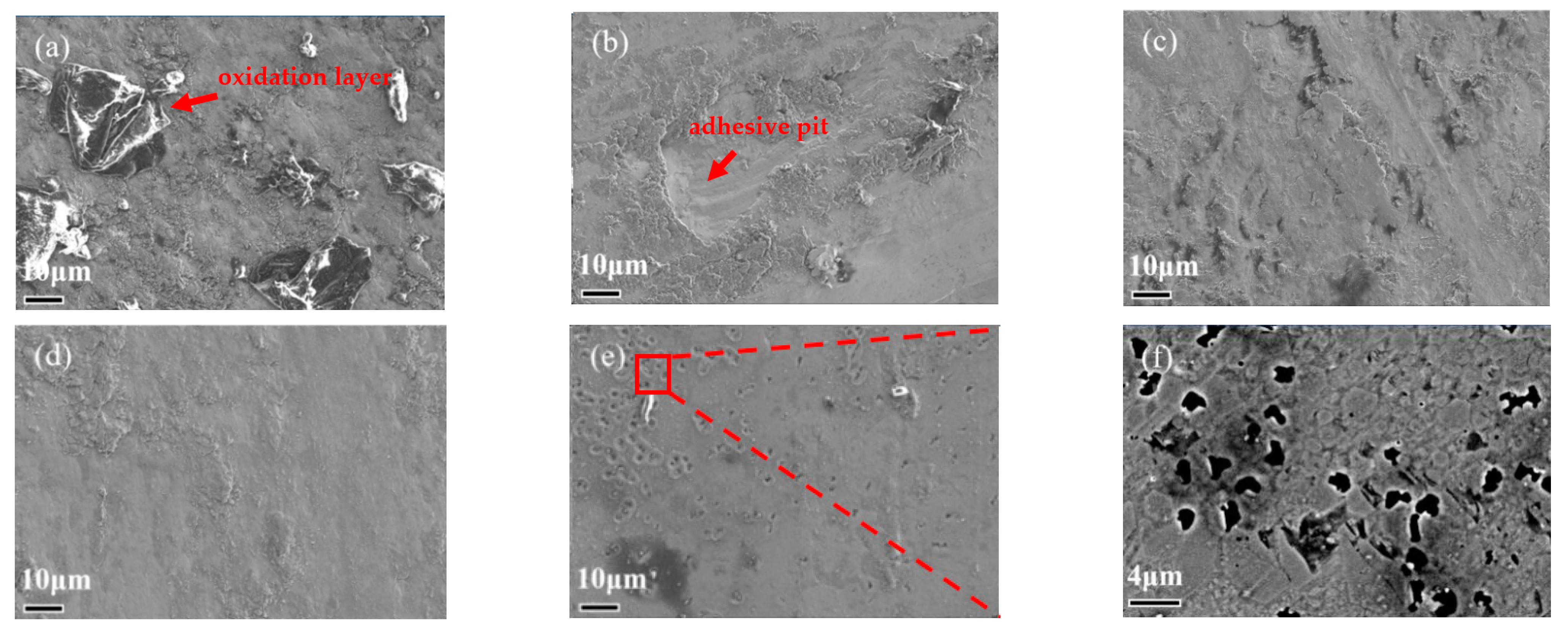 Coatings 12 01980 g009