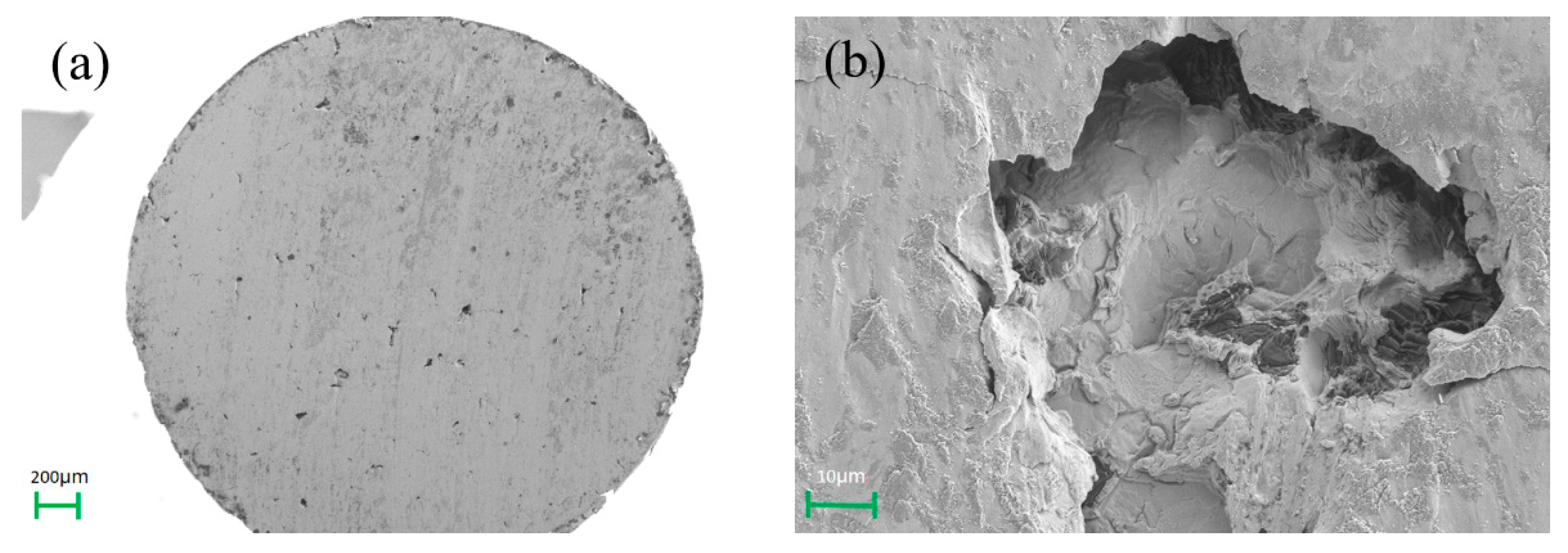 Coatings 12 01980 g011