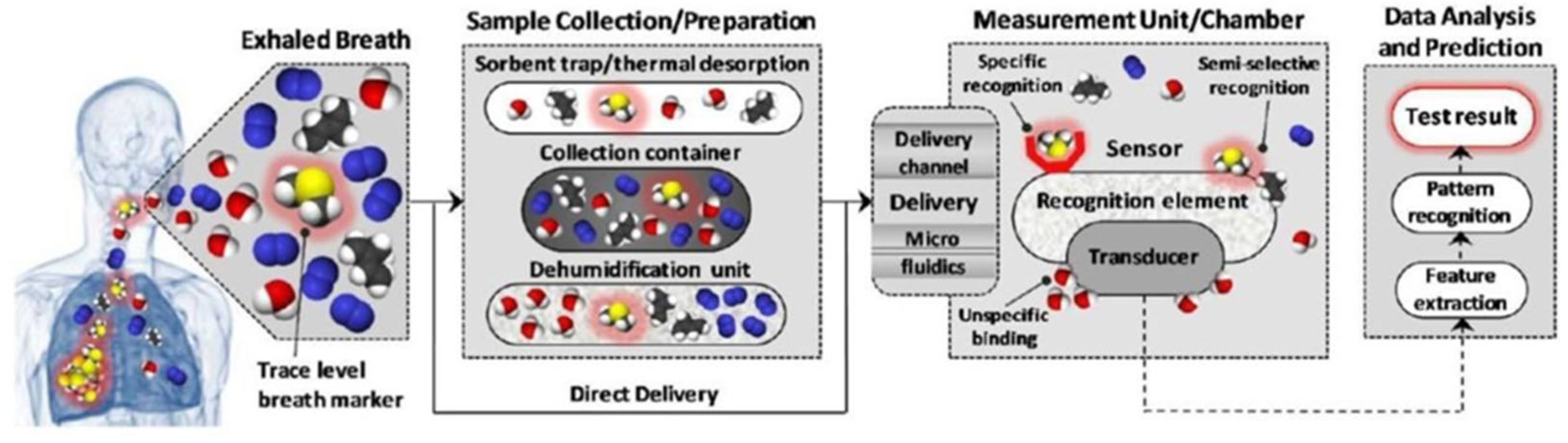 Coatings 12 01989 g001