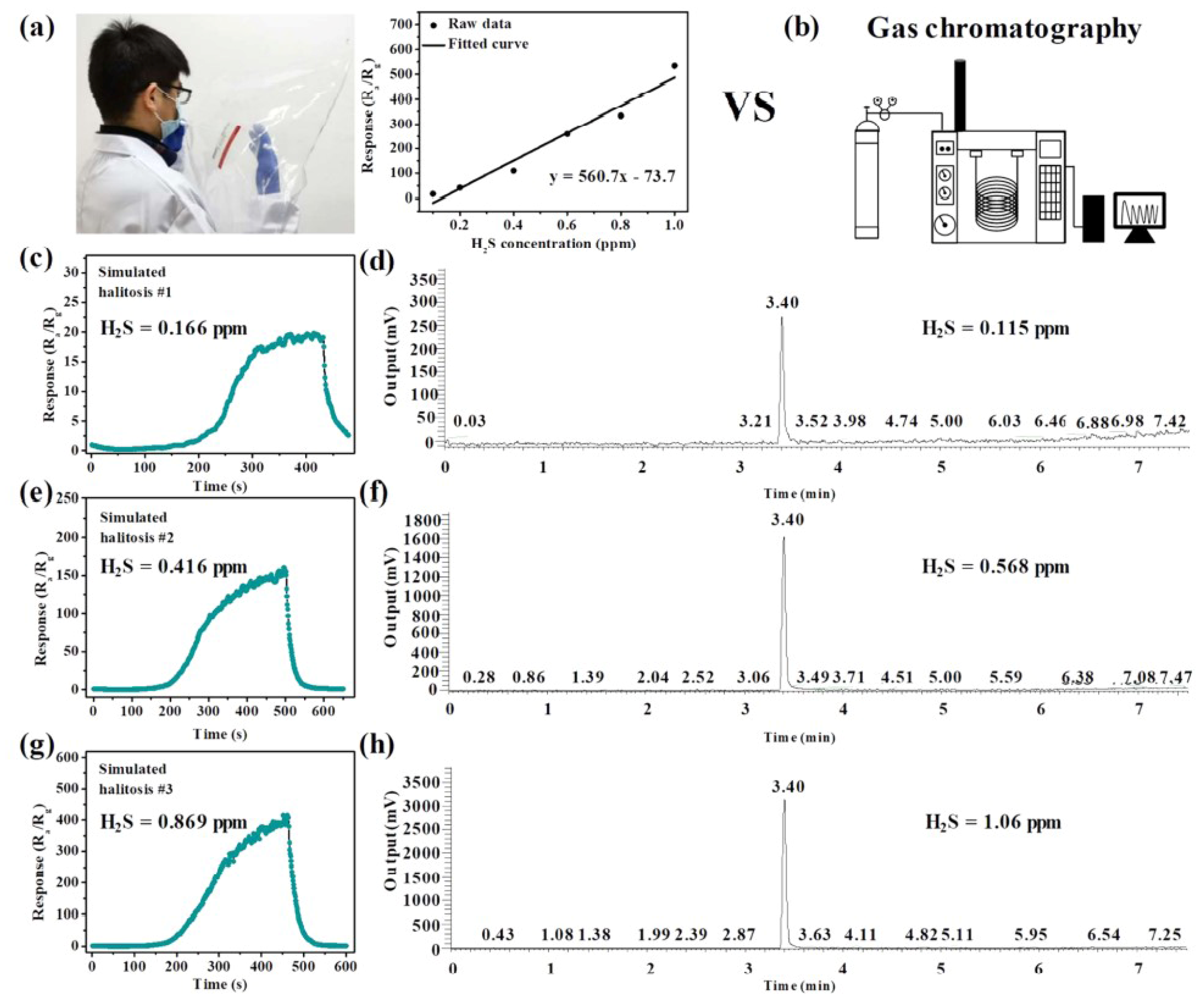 Coatings 12 01989 g010