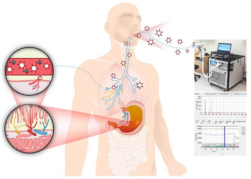 Coatings 12 01989 i002