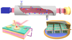 Coatings 12 01989 i005