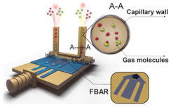 Coatings 12 01989 i013
