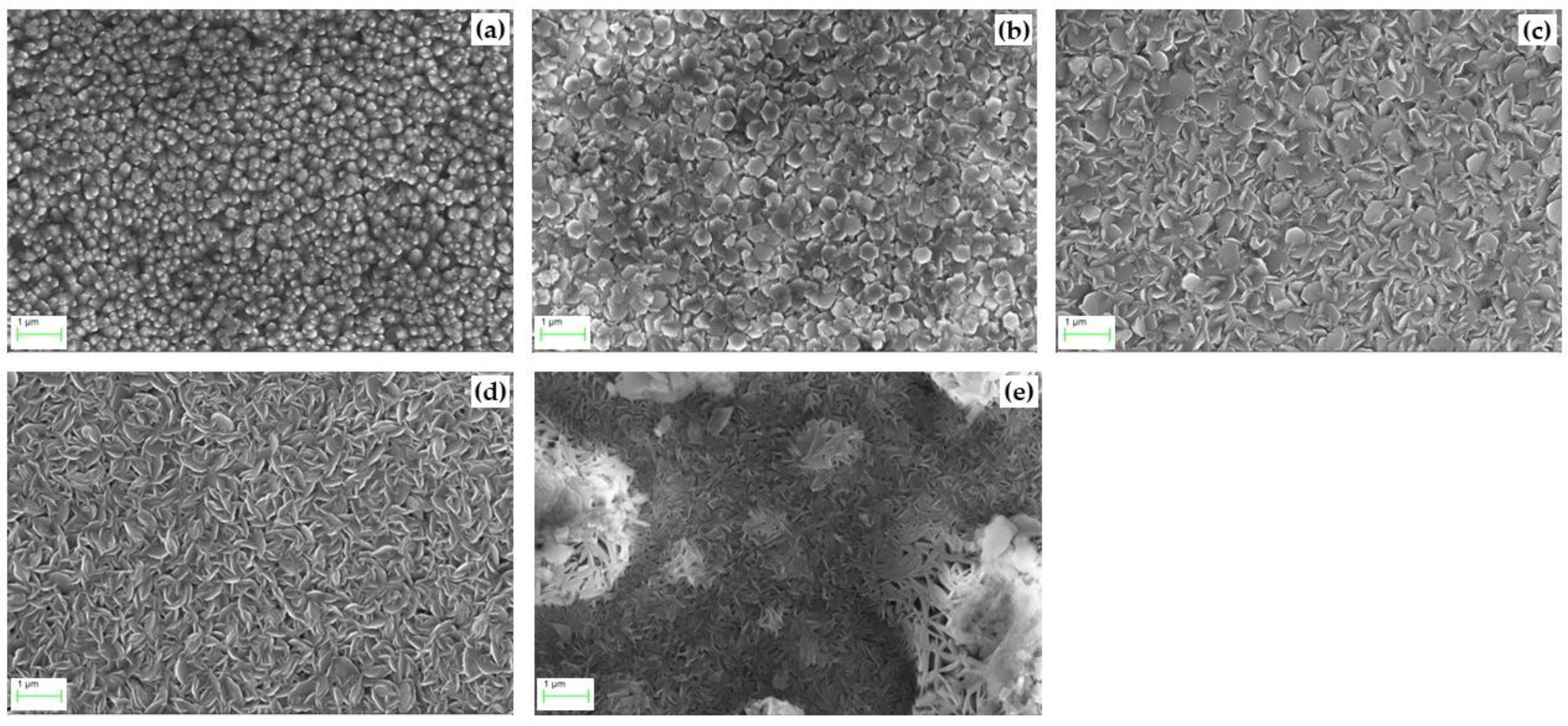 Coatings 12 01991 g010