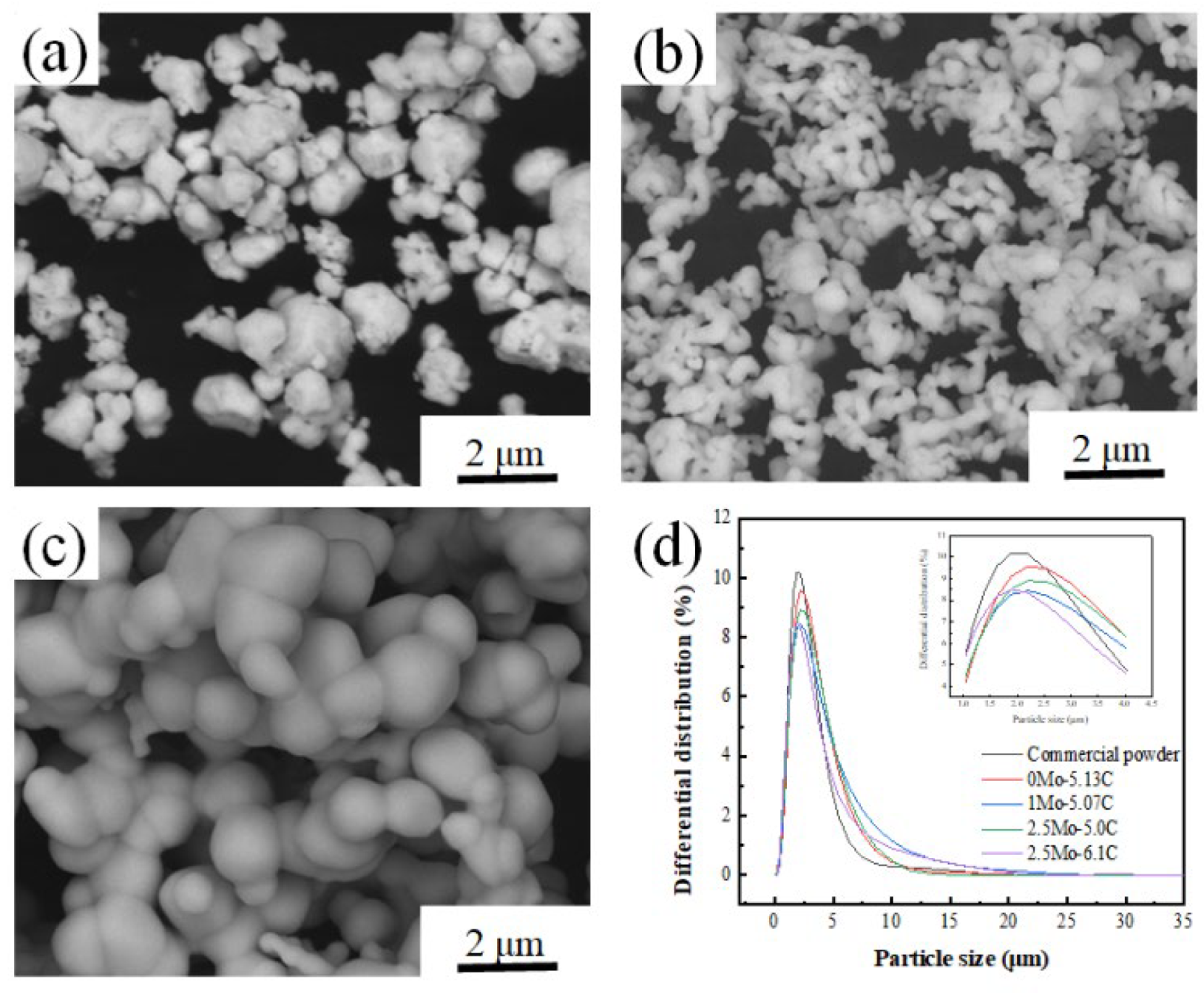 Coatings 12 01993 g001 Coatings 12 01993 g001