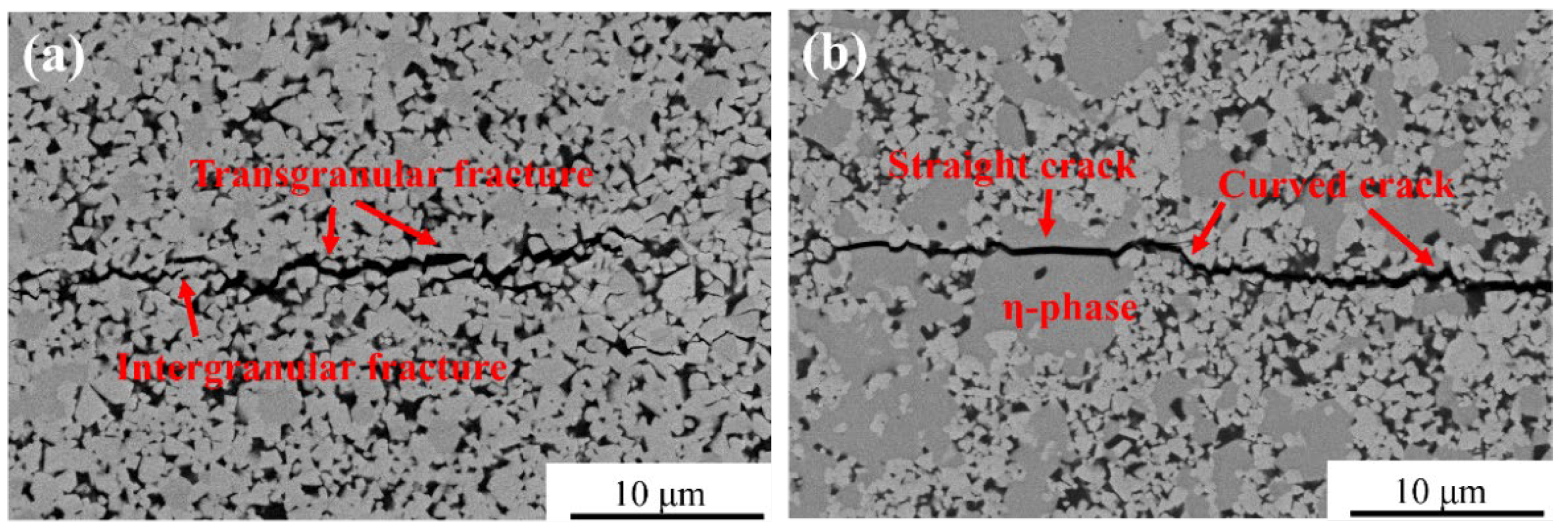 Coatings 12 01993 g012 Coatings 12 01993 g012