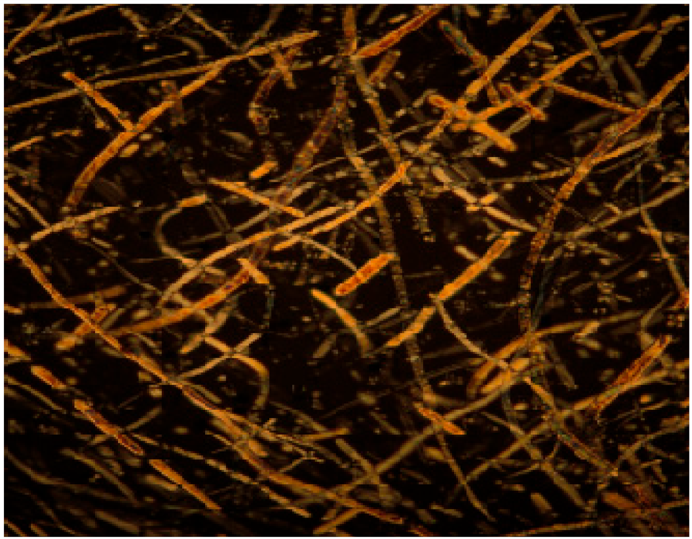 Coatings 13 00003 i001