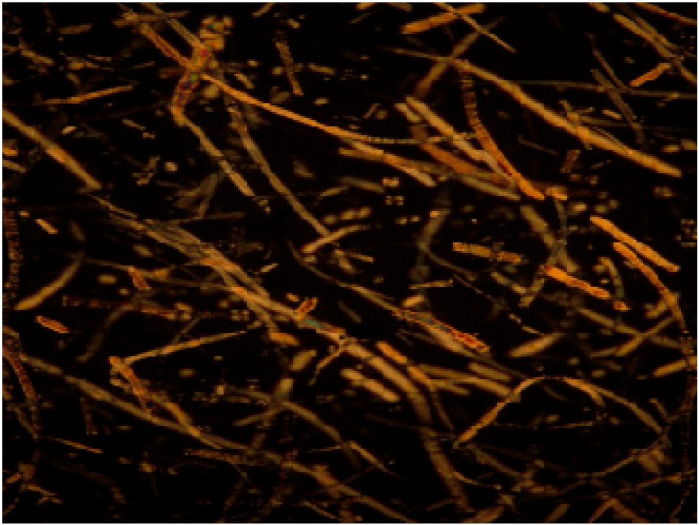 Coatings 13 00003 i003