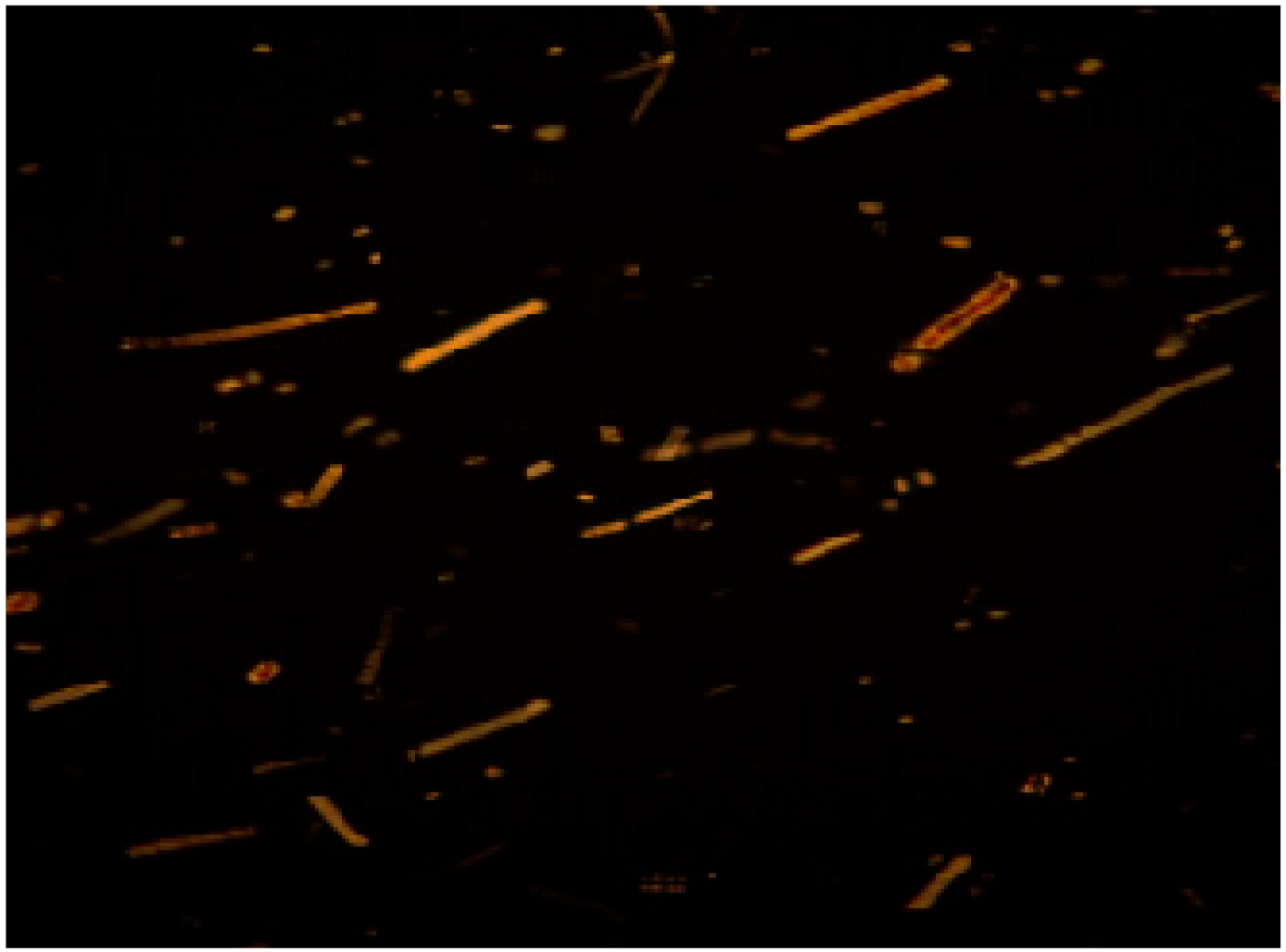 Coatings 13 00003 i007