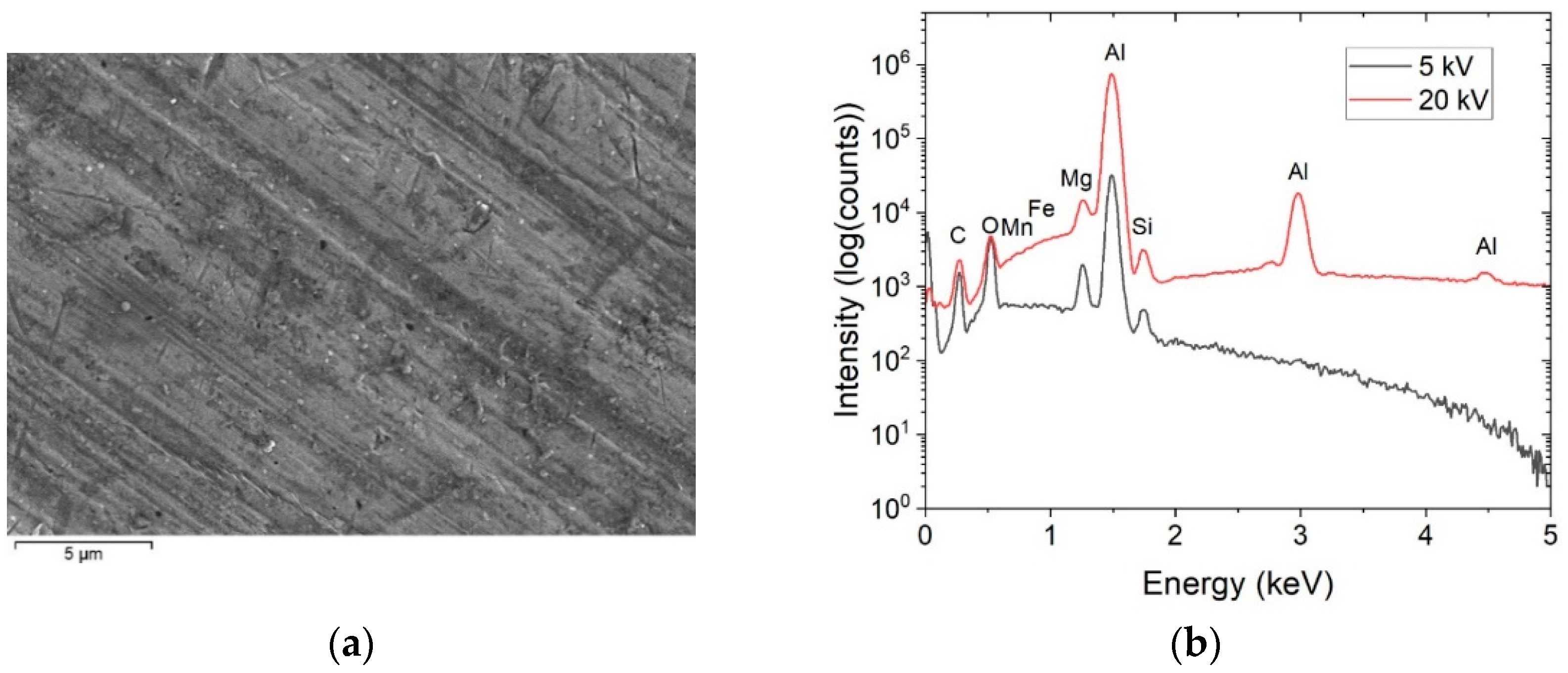 Coatings 13 00013 g002