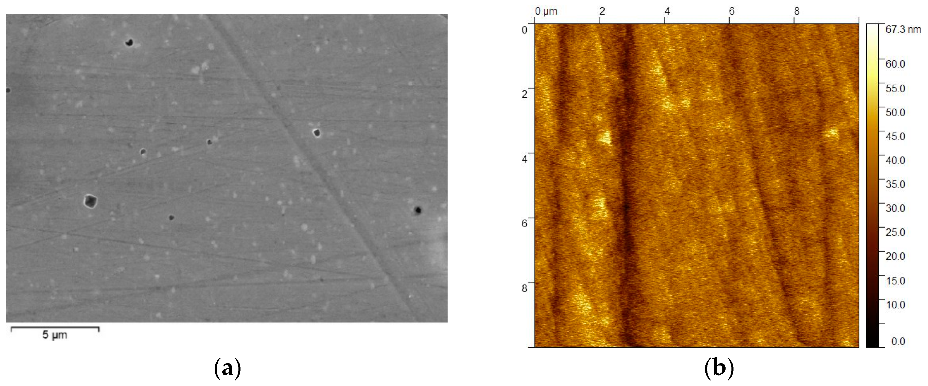 Coatings 13 00013 g003